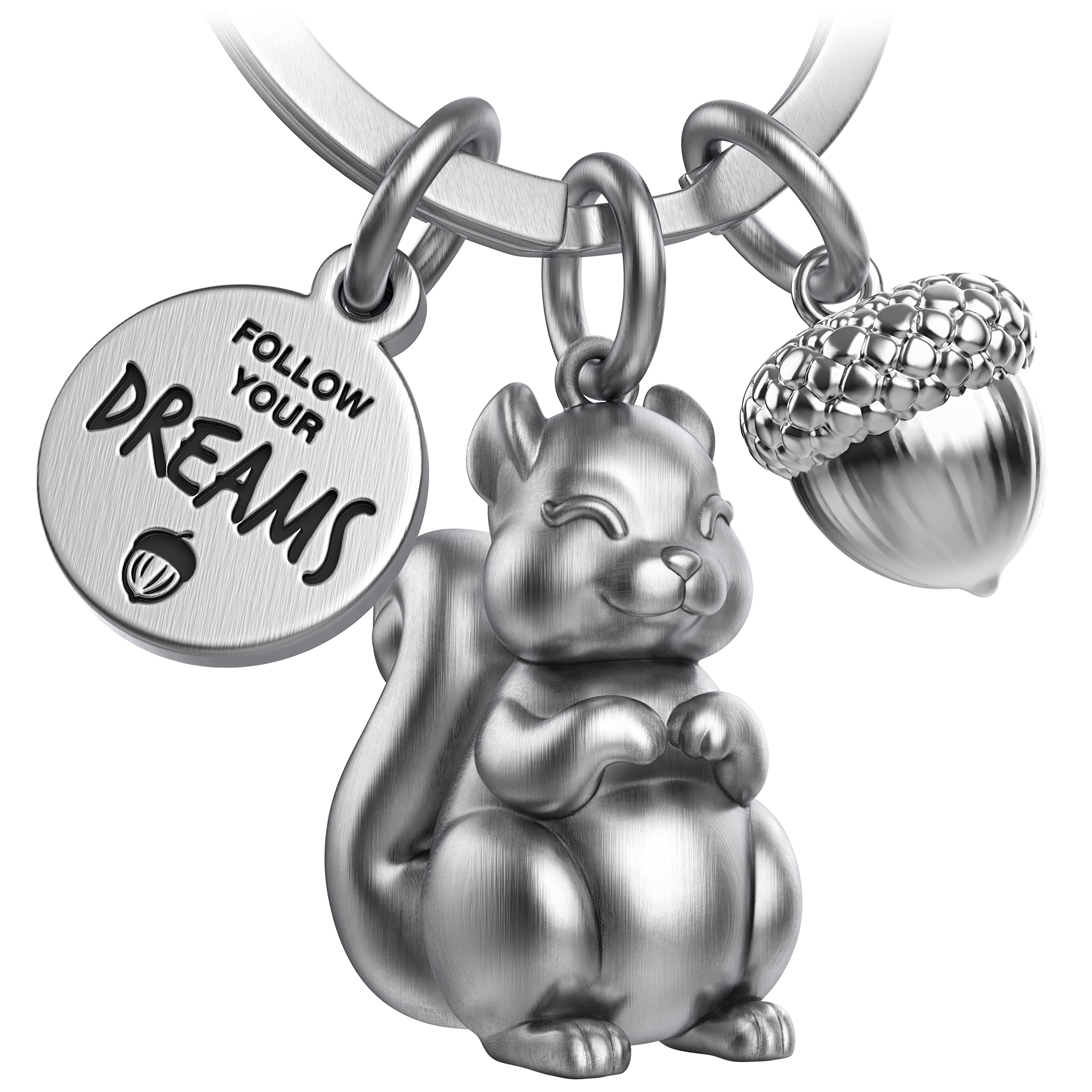 Fabach Antique Silver Squirrel Keyring Skippy With Engraving - Cute Squirrel Keyring - Lucky Charm Motivation Gift For Girlfriend - Follow Your Dreams, Standard Size, Casual