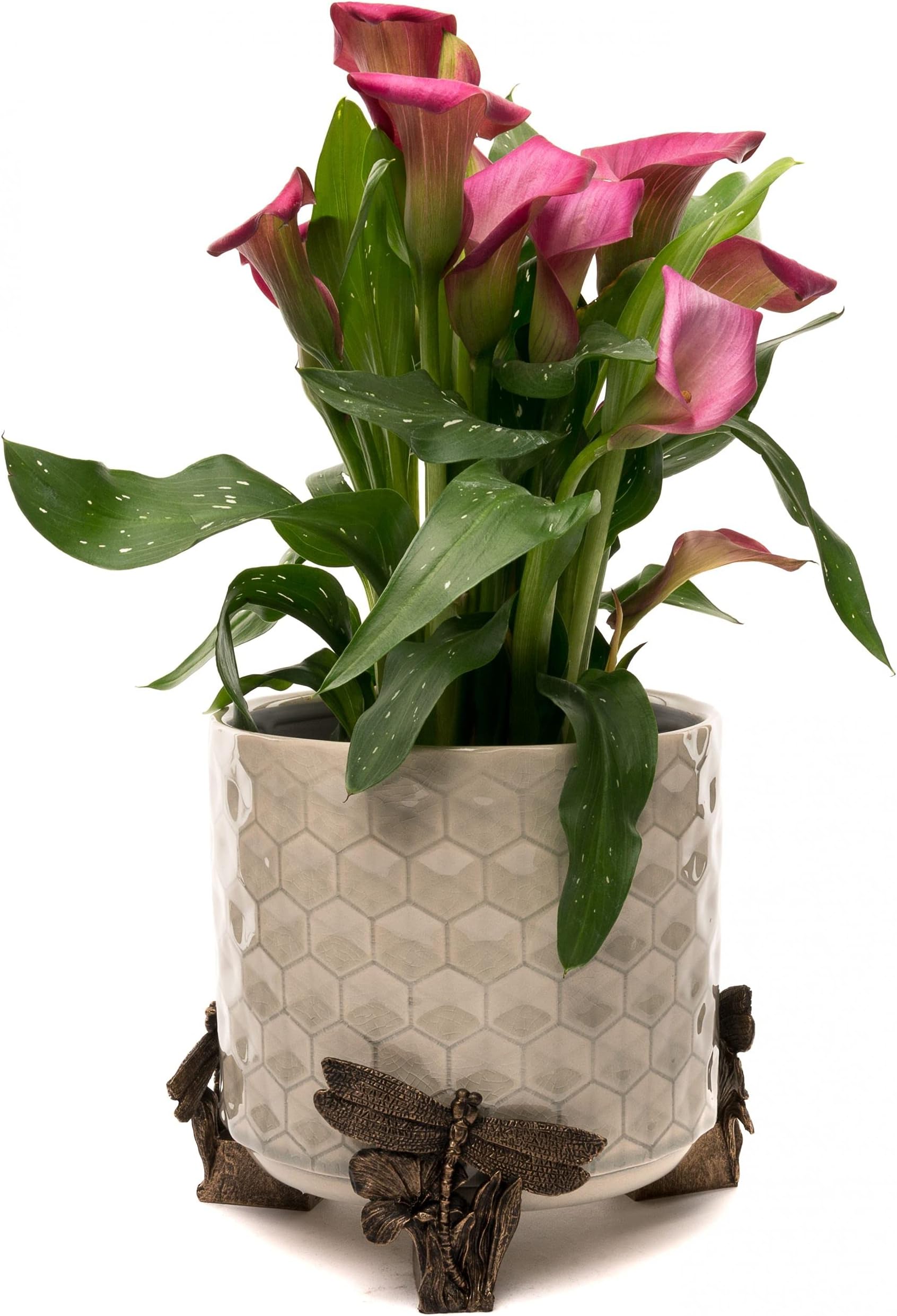 Potty Feet Dragonfly Figures Plant Pot Feet - Planter Support - Handmade Decorative Ornaments - 3pcs