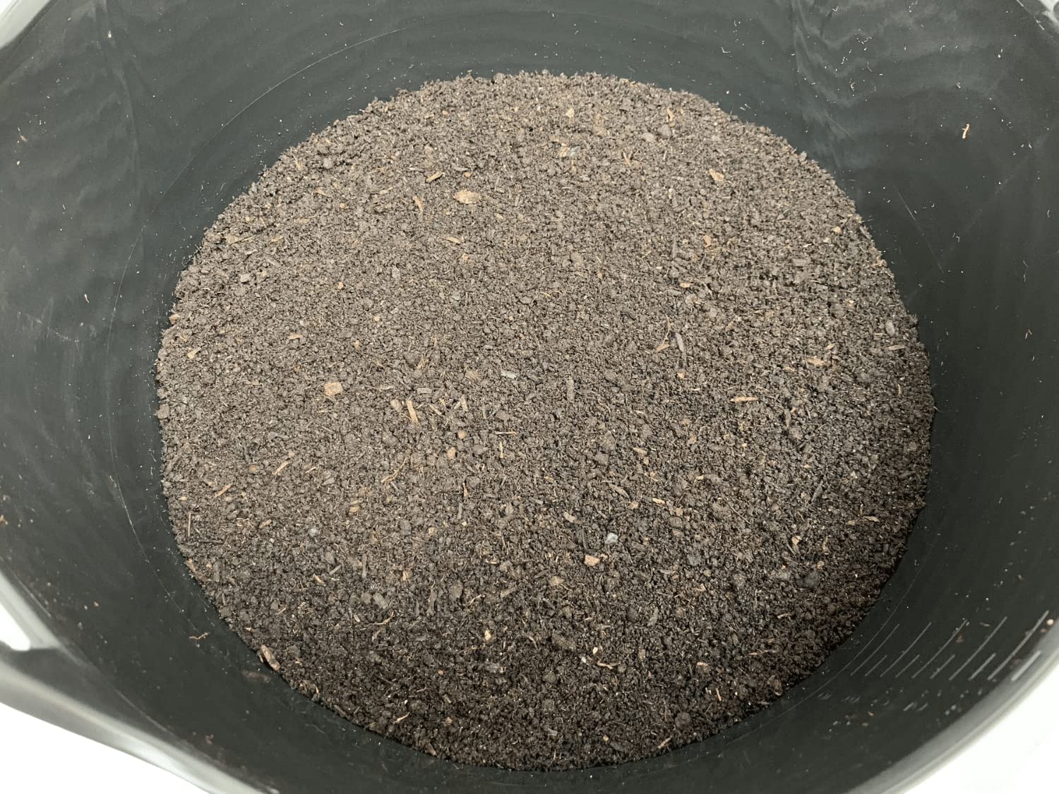 XXL Wurmzucht - mit 1 kg großen (ca. 630 St.) für eigenen Zuchtbehälter (ohne Zuchtbox) Angelwürmer, Futterwürmer, Regenwürmer, Dendrobena, Würmer, Riesenrotwürmer, Angelköder, Lebendköder, Wurmfarm