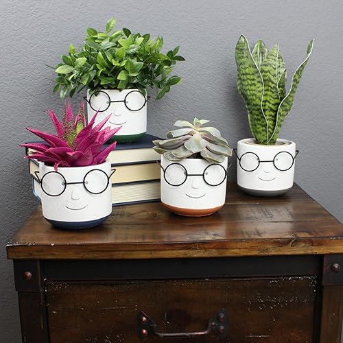 Miniatura 4 de Maceta de cara, maceta de cabeza, maceta para suculentas con drenaje, maceta de cara, maceta de 4 pulgadas, maceta única y bonita con vasos para