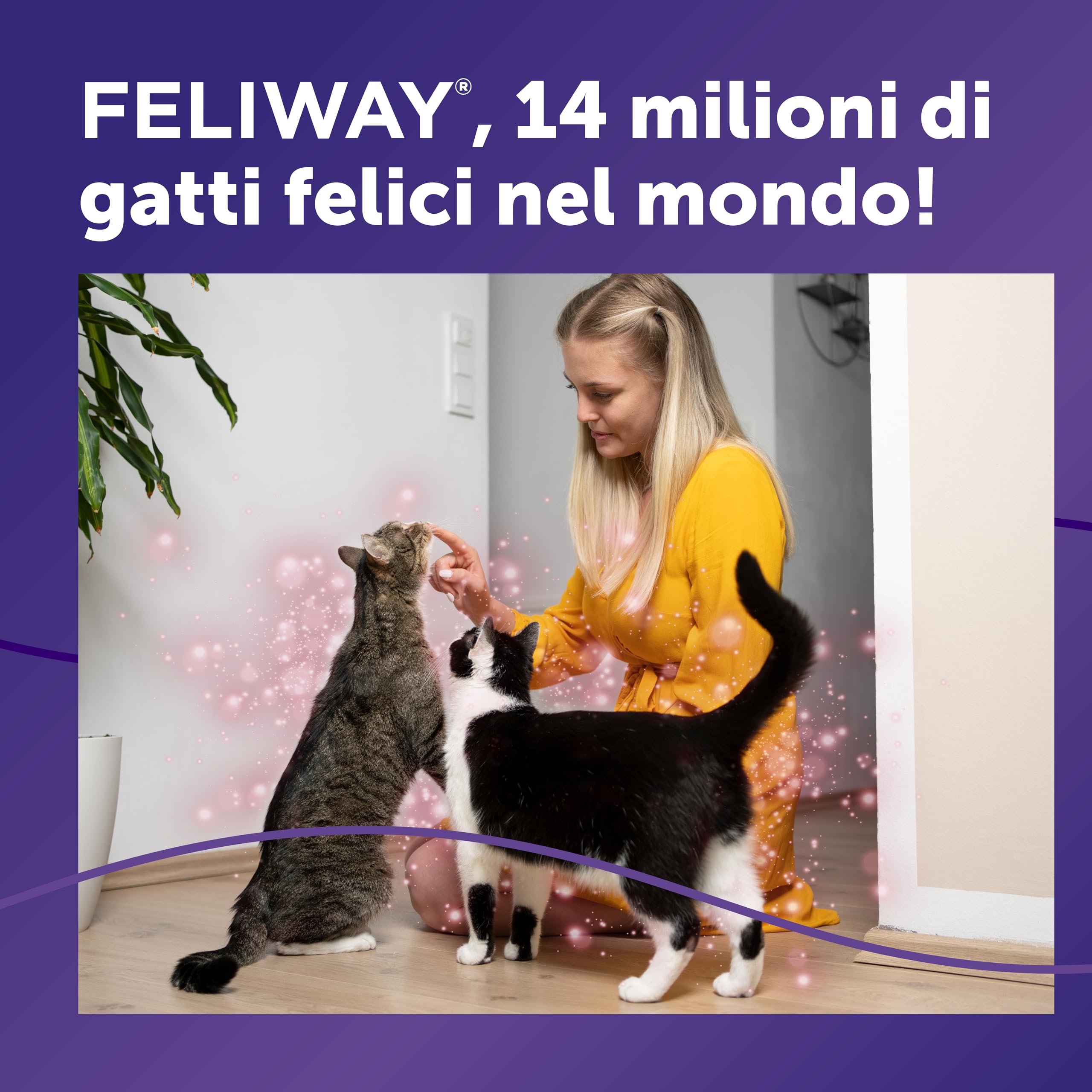 FELIWAY Friends 3x30 Giorni Ricariche Calmanti per Gatti per Diffusore di Feromoni, 48 ml – Aiuta a creare armonia e a ridurre i conflitti nelle case con più gatti. Raccomandato dai veterinari