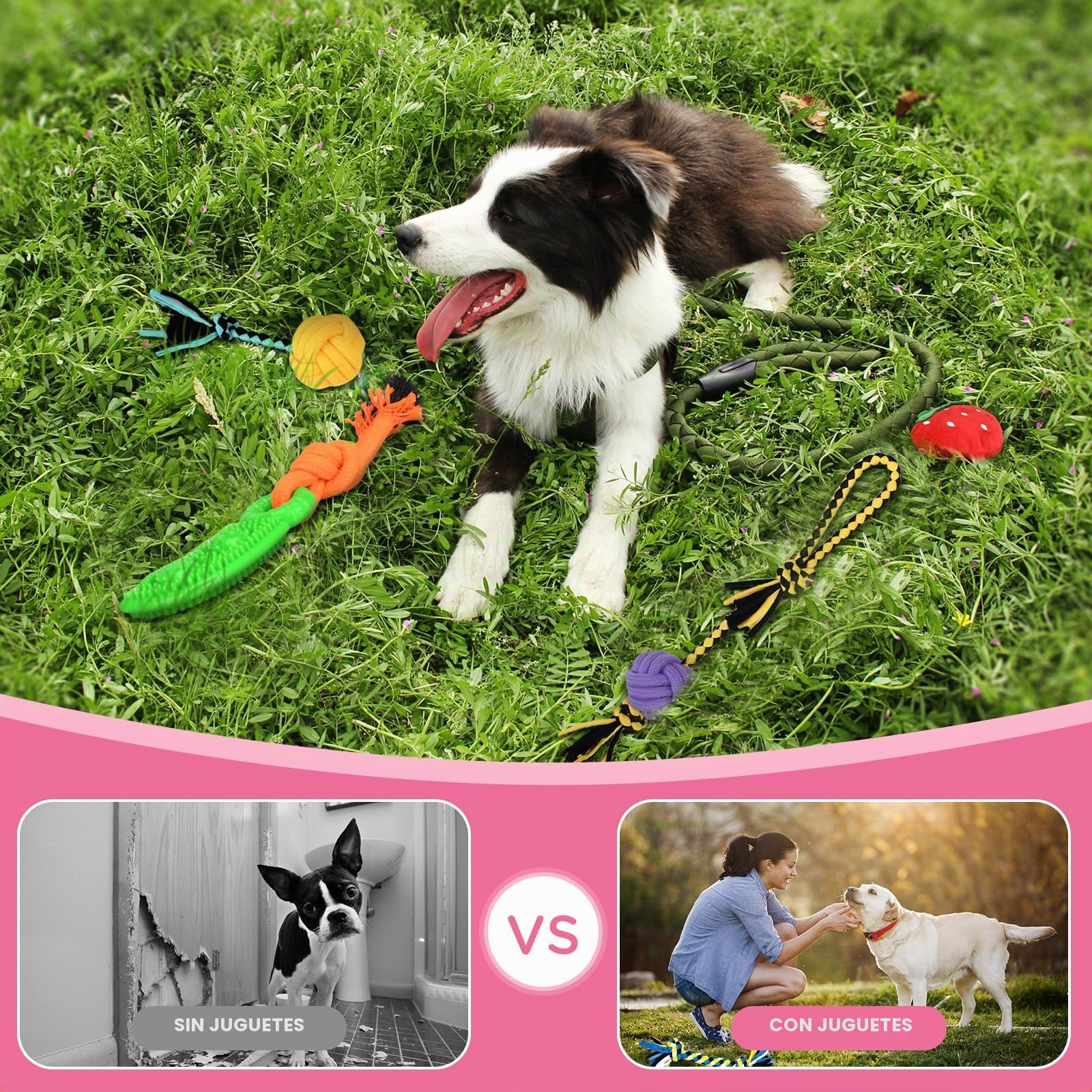 Juguetes para Perros,20 Piezas Juguete para Morder para Perro,Juego de Juguetes para Perros,Juguetes Interactivos para Limpiar Los Dientes Adecuado para Pequeño y Mediano