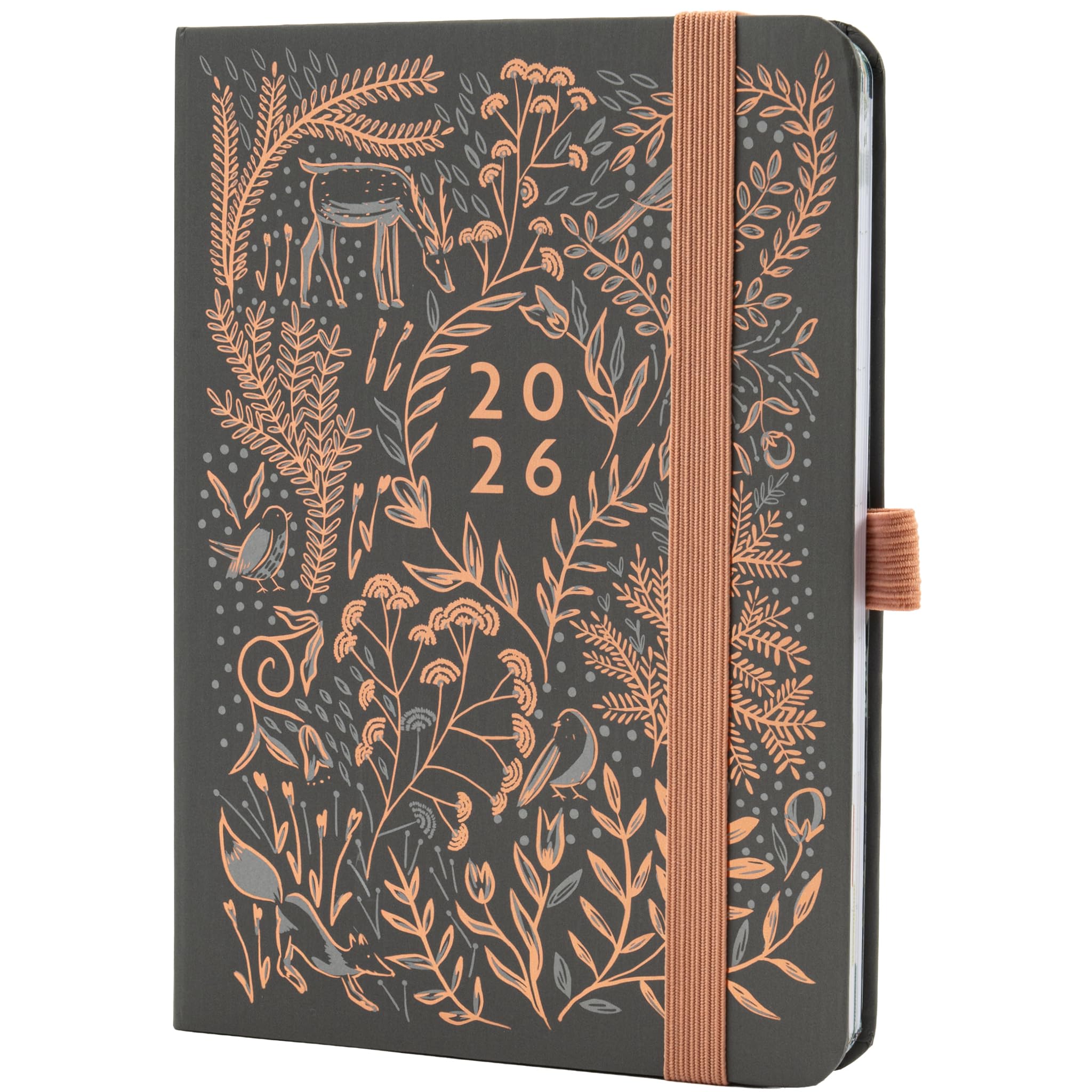 Boxclever Press Everyday 2026 Diary A5 Week to View runs Jan - Dec'26. Luxury Diary 2026 & Notebook In One! Stunning A5 2026 week to view