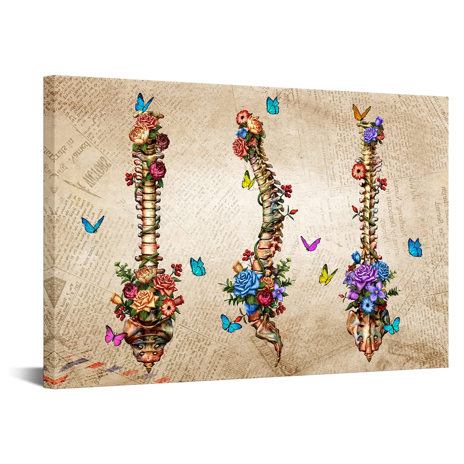 Amazon.co.jp: Zlove ヴィンテージ メディカル キャンバス ウォール