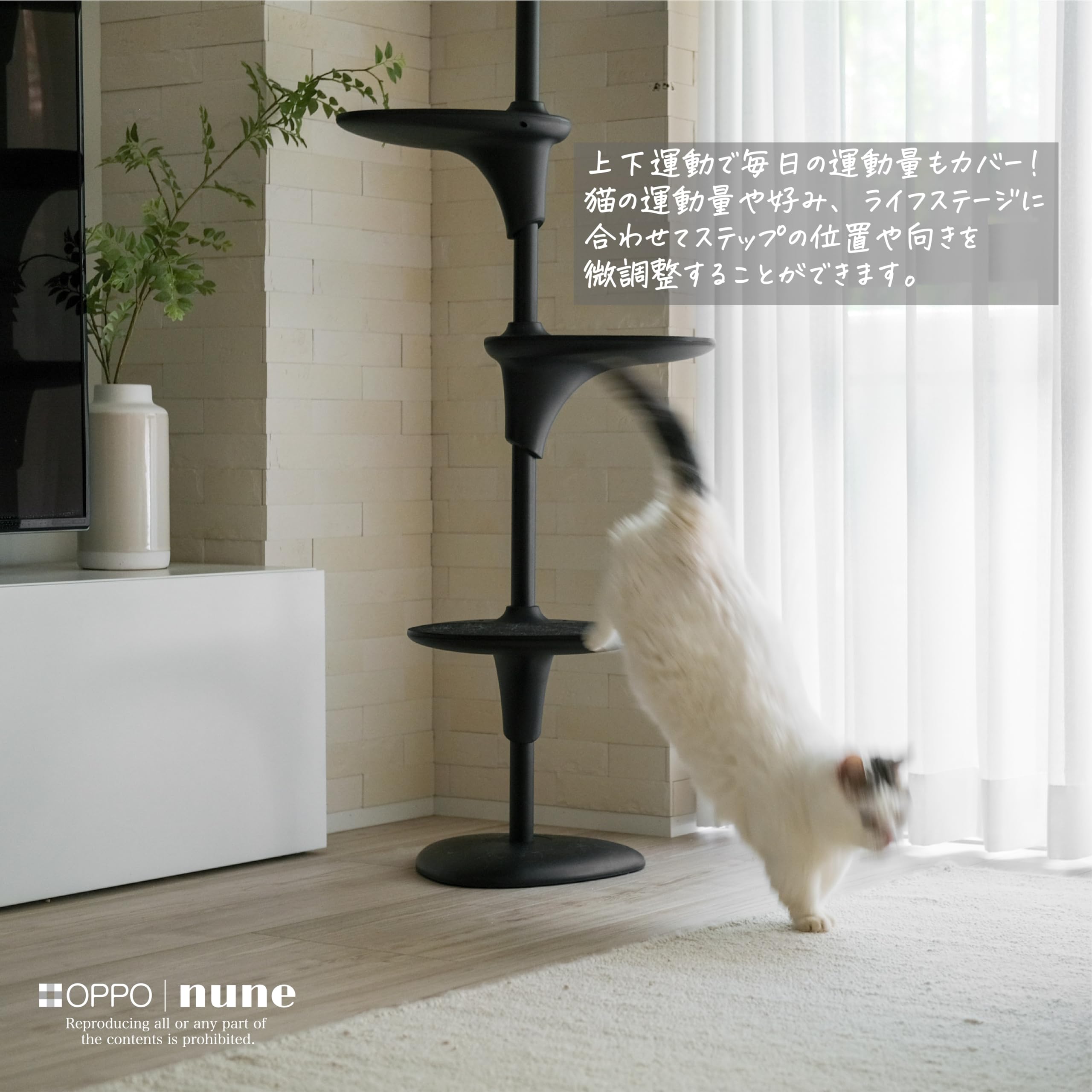 Amazon | Cat Forest-2 キャットフォレスト ツー (ブラック) | オッポ 
