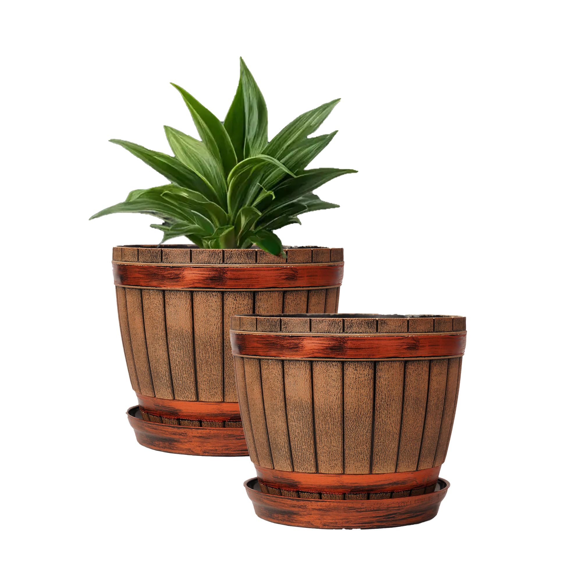 See full amazon price history chart for Garden Tales Modern Wood Finish -Lilly Basket 8Inch(20.32cm) Plastic Flower Pot Durable, Unique, Stylish, and Versatile - for Home/Office/Terrace/Building/Garden Decor - Color : Brown - Set of 2 Garden Tales Modern Wood Finish -Lilly Basket 8Inch(20.32cm) Plastic Flower Pot Durable, Unique, Stylish, and Versatile - for Home/Office/Terrace/Building/Garden Decor - Color : Brown - Set of 2 (B0D2W6PY6D) Amazon Price History, Amazon Price Tracker