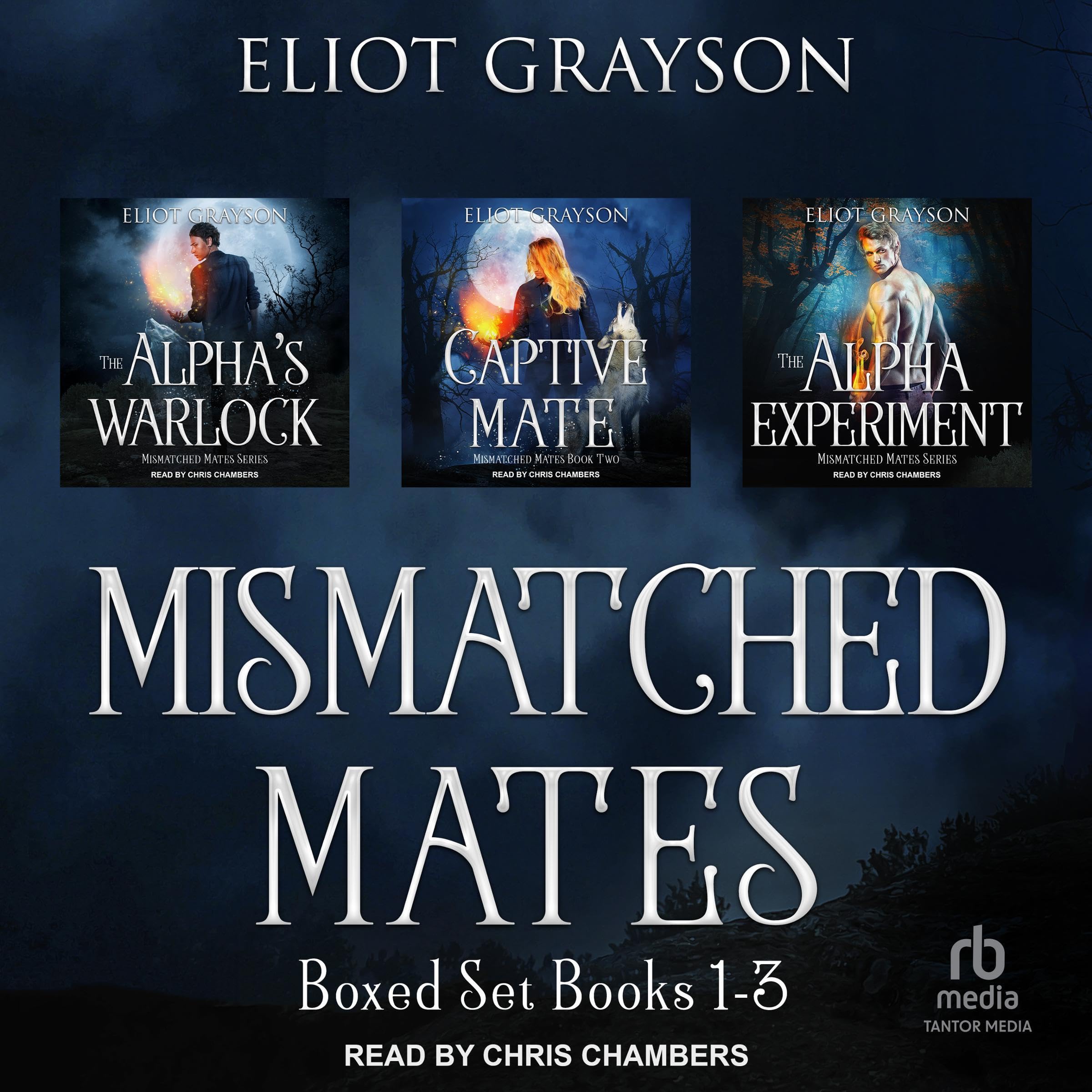Cover art for Mismatched Mates Boxed Set