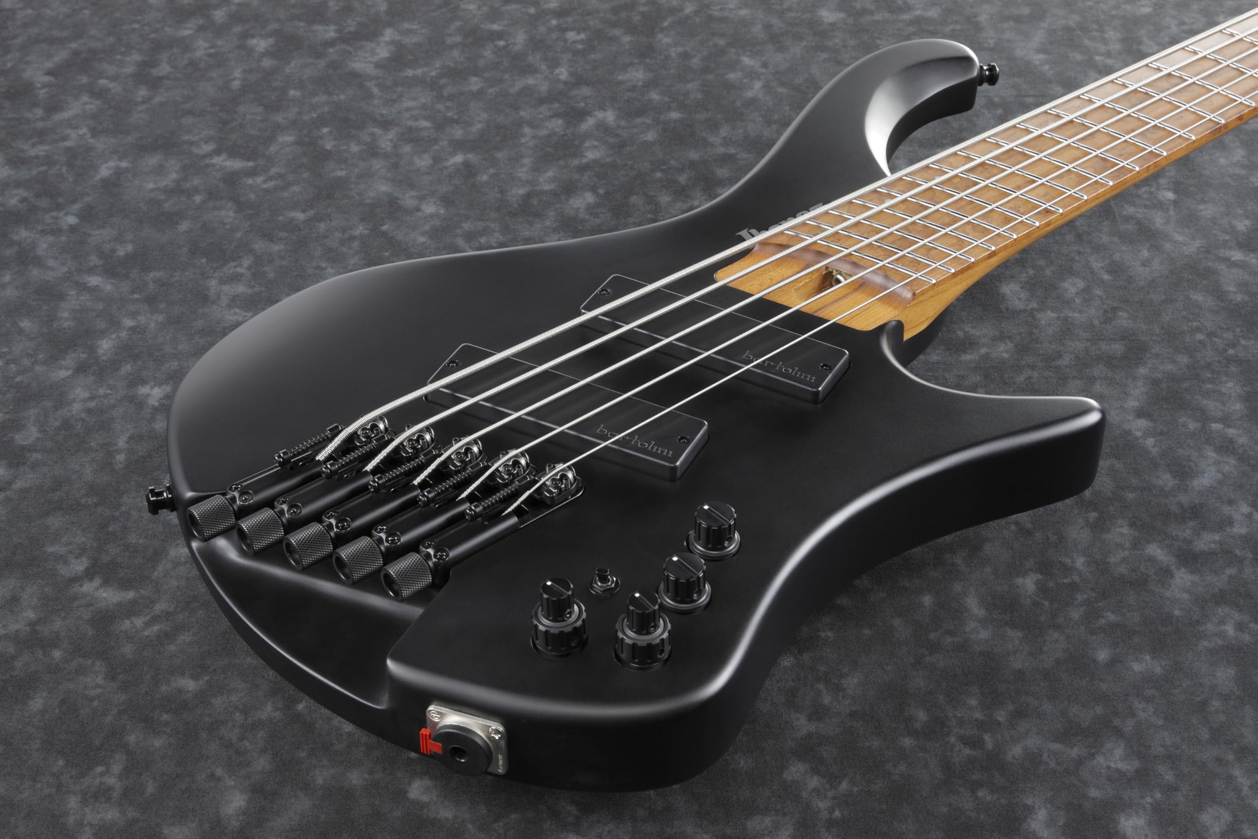 Amazon.com: Ibanez Bass Workshop EHB1005MS Bass Guitar - Black