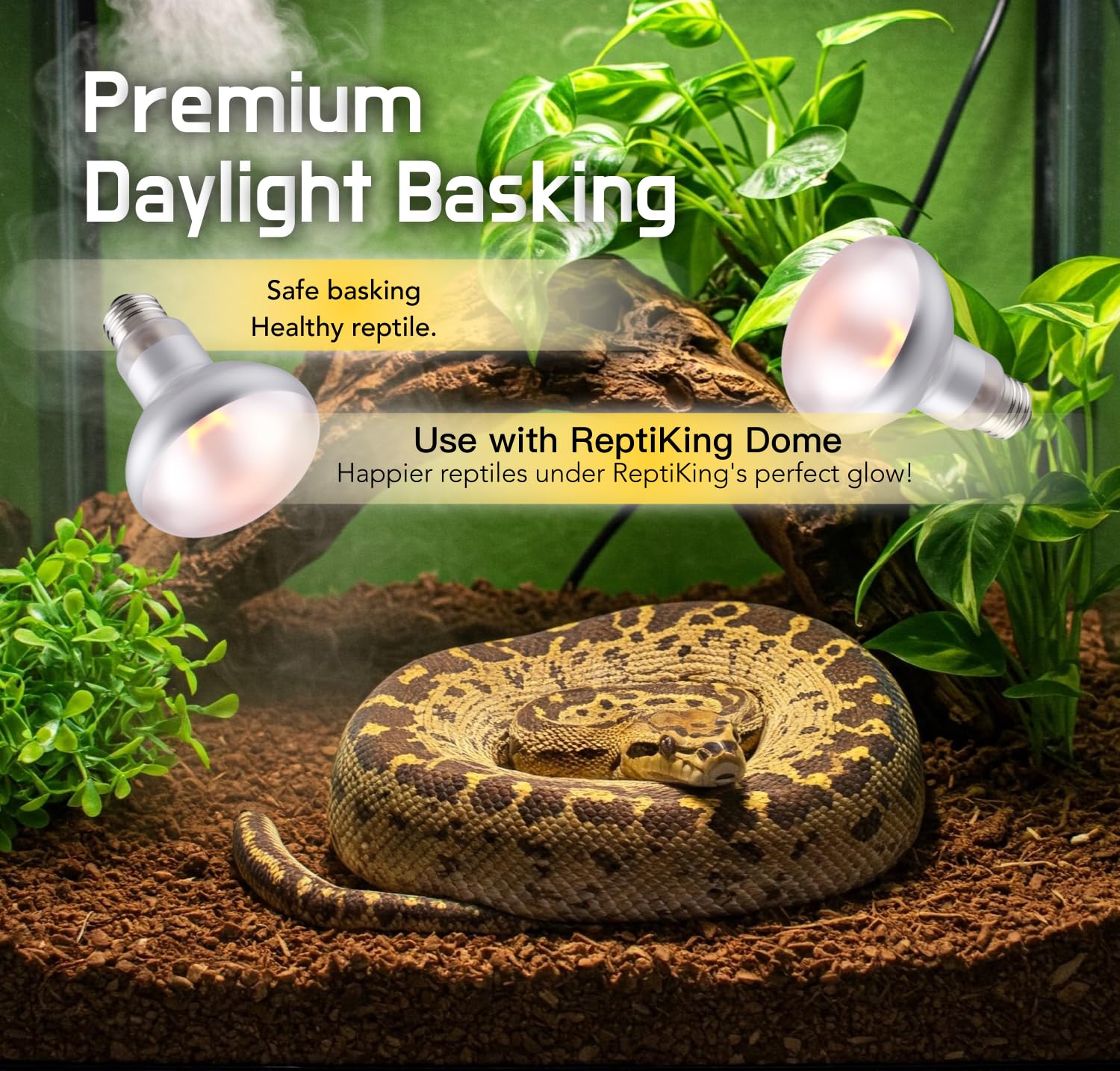 Reptile Heat Lamp, 100W 2-Pack Incandescent Basking Spotlight Bulbs for Reptiles Terrarium Tanks, Reptile Heat Bulb for Infrared Light, Bearded Dragon Heat Bulbs (100W) - image 5