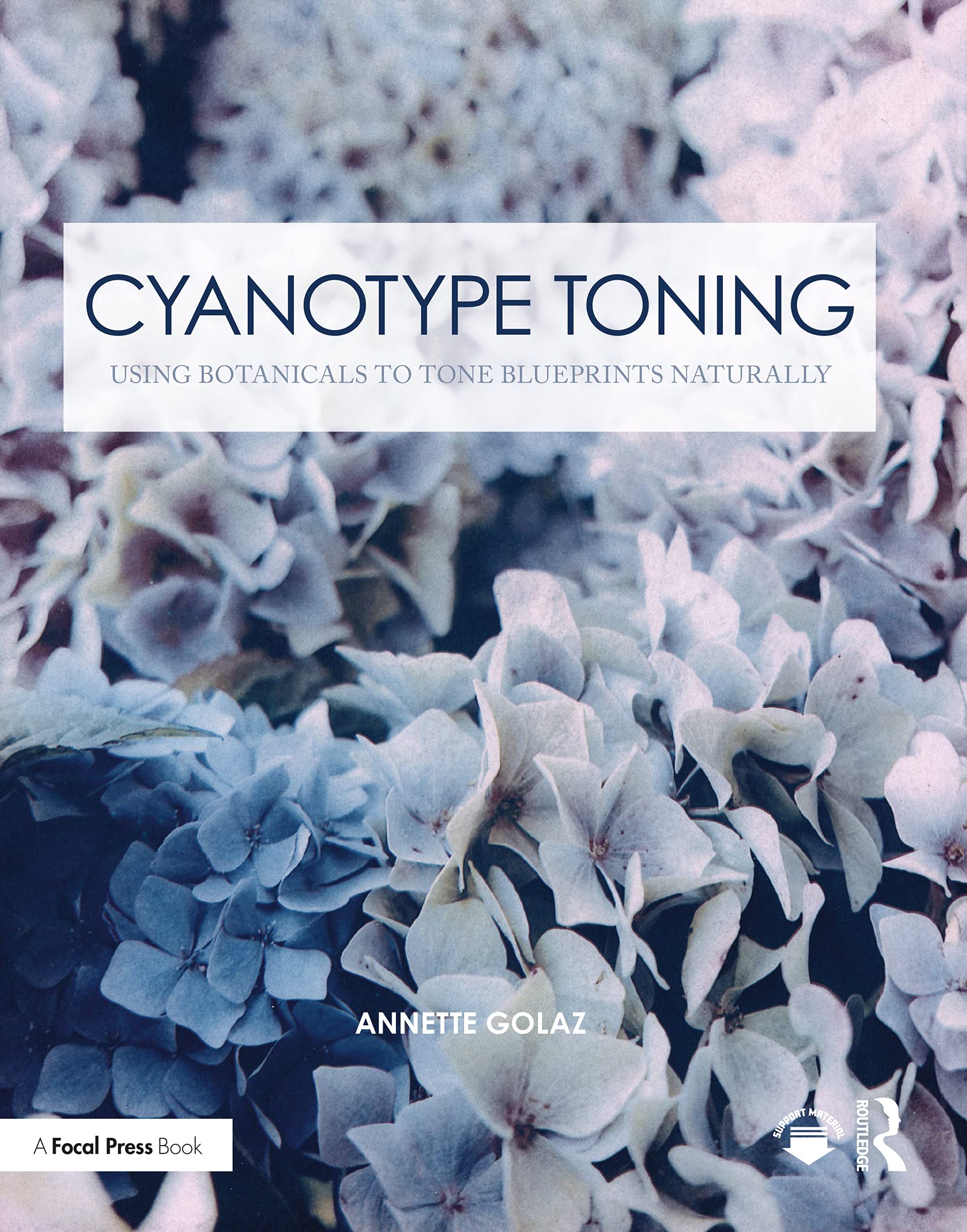 Cyanotype Toning: Using Botanicals to Tone Blueprints Naturally (Contemporary Practices in Alternative Process Photography) (English Edition)