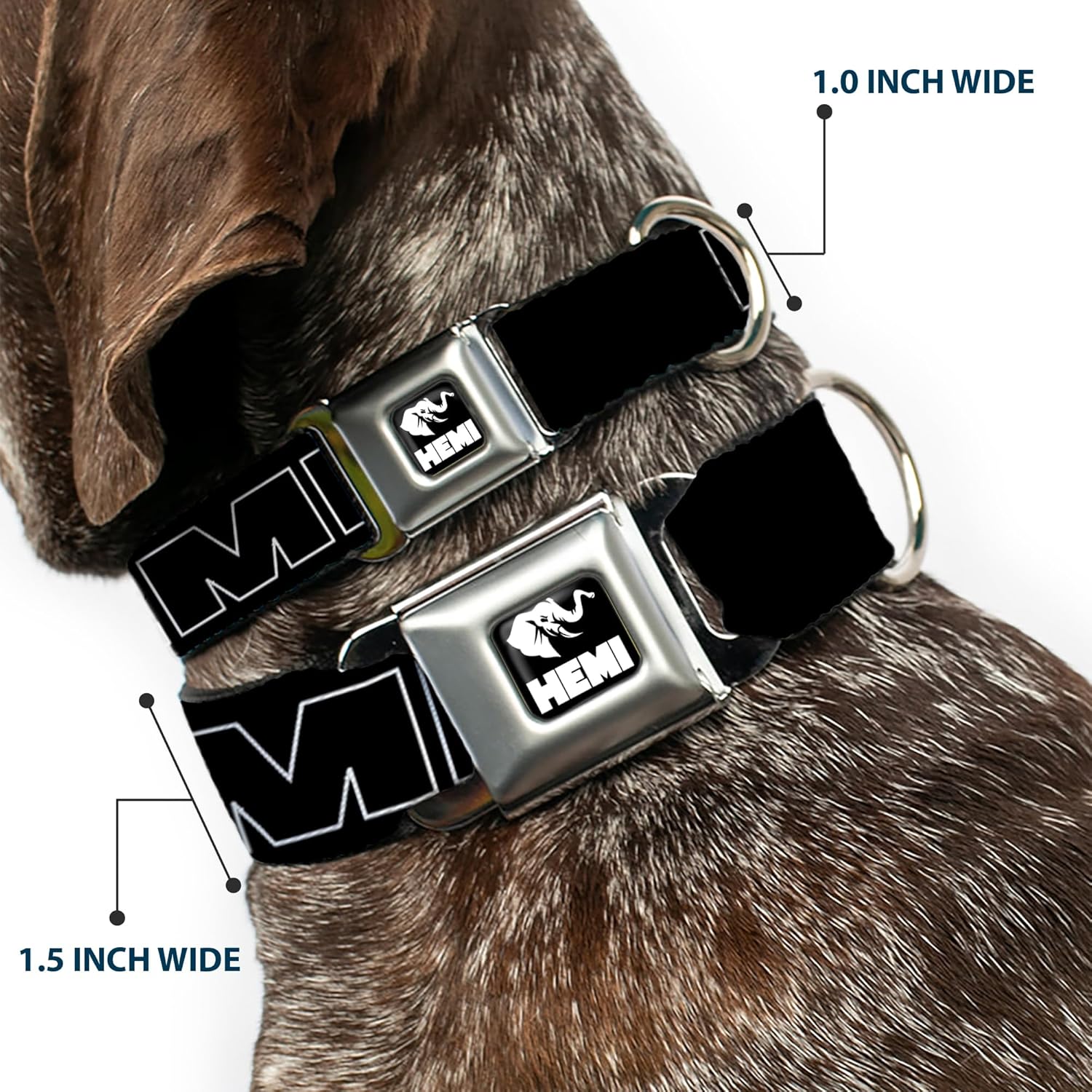 Buckle-Down Seatbelt Buckle Dog Collar - HEMI Bold Outline Black/White - 1.5" Wide - Fits 18-32" Neck - Large