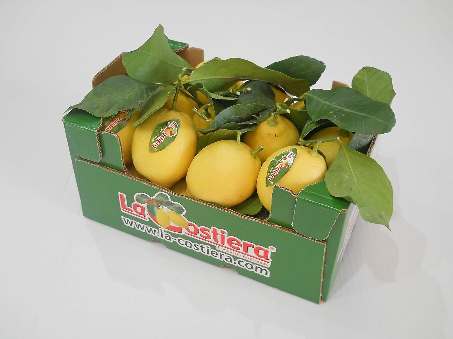 vendita online limoni di sorrento