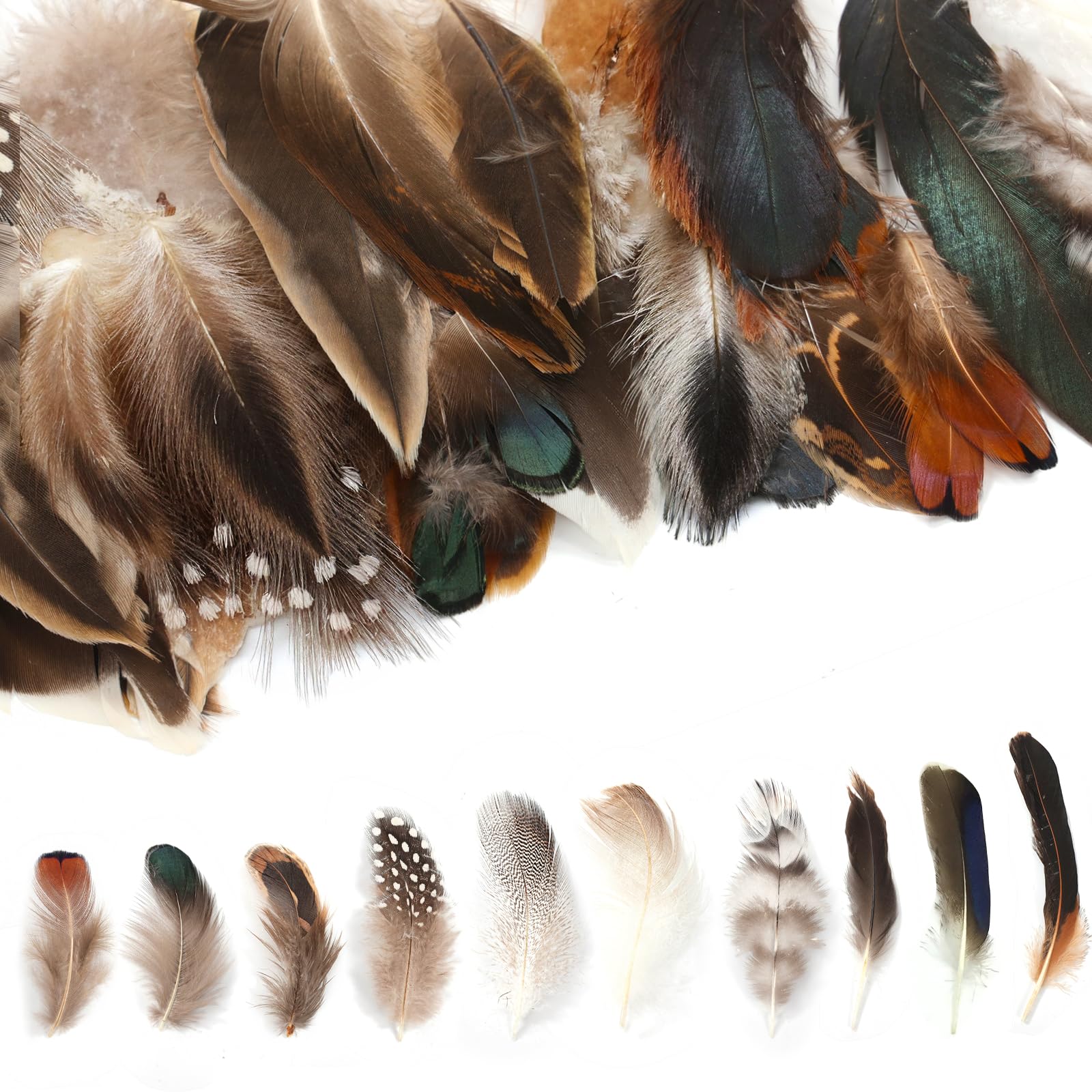 MWOOT 180 Plumes Naturelles Colorées - Lot Assorti 9 Styles Pour DIY Pâques, Attrape-Rêves, Boucles D'Oreilles