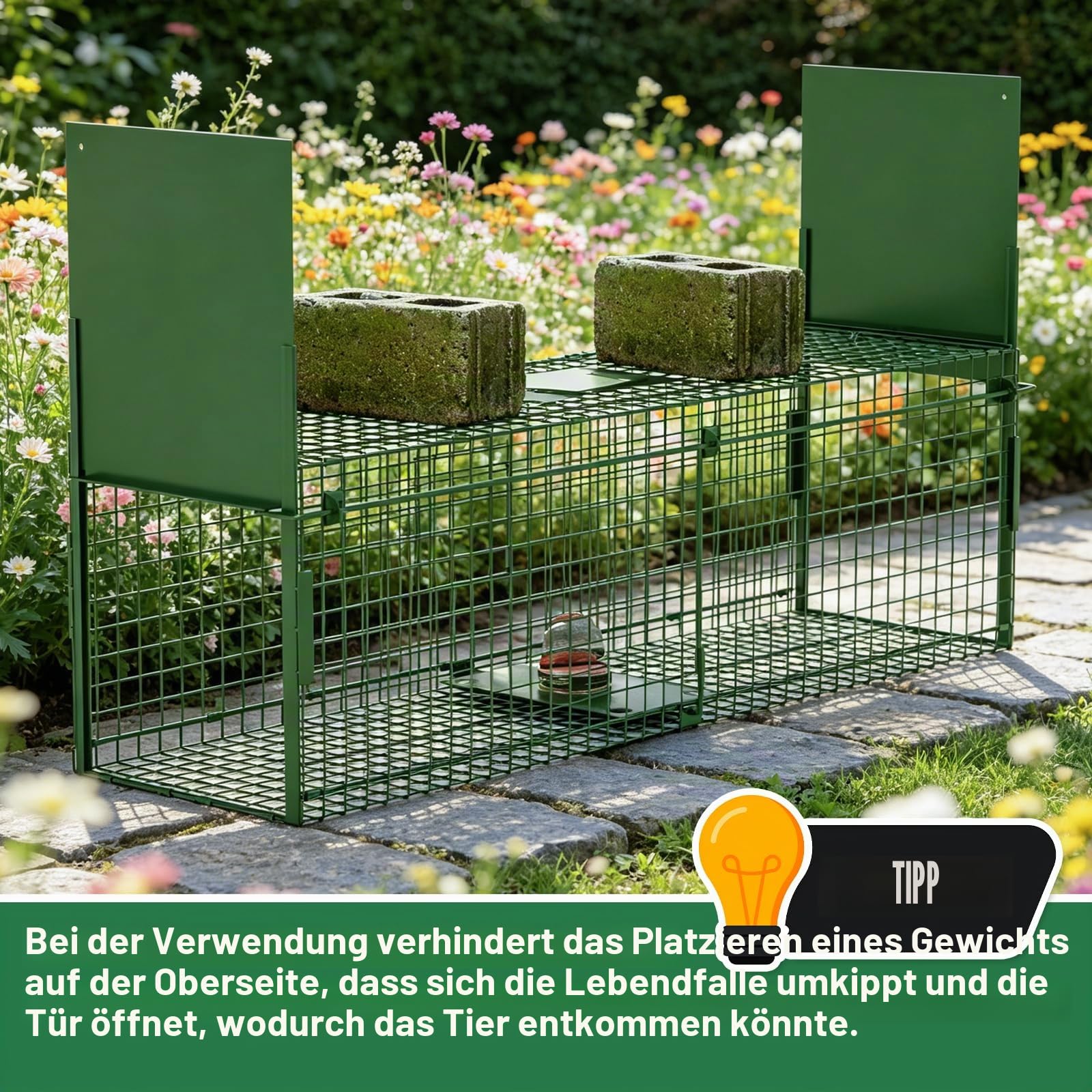 Lebendfalle Marderfalle 100 x 29 x 31.5 cm Katzenfalle Groß Fuchsfalle Kastenfalle Waschbärfalle Rattenfalle Tierfalle Drahtfalle Mit 3 türen