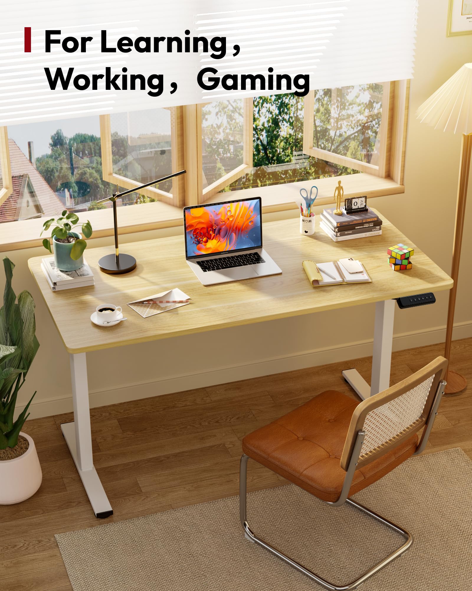 SANODESK Escritorio Elevable Eléctrico 120cm con Tablero Entero de Una Pieza, Regulable en Altura con Memoria, Estable y Silencioso, con Gancho y Portabotella, Oficina y Hogar (Arce)