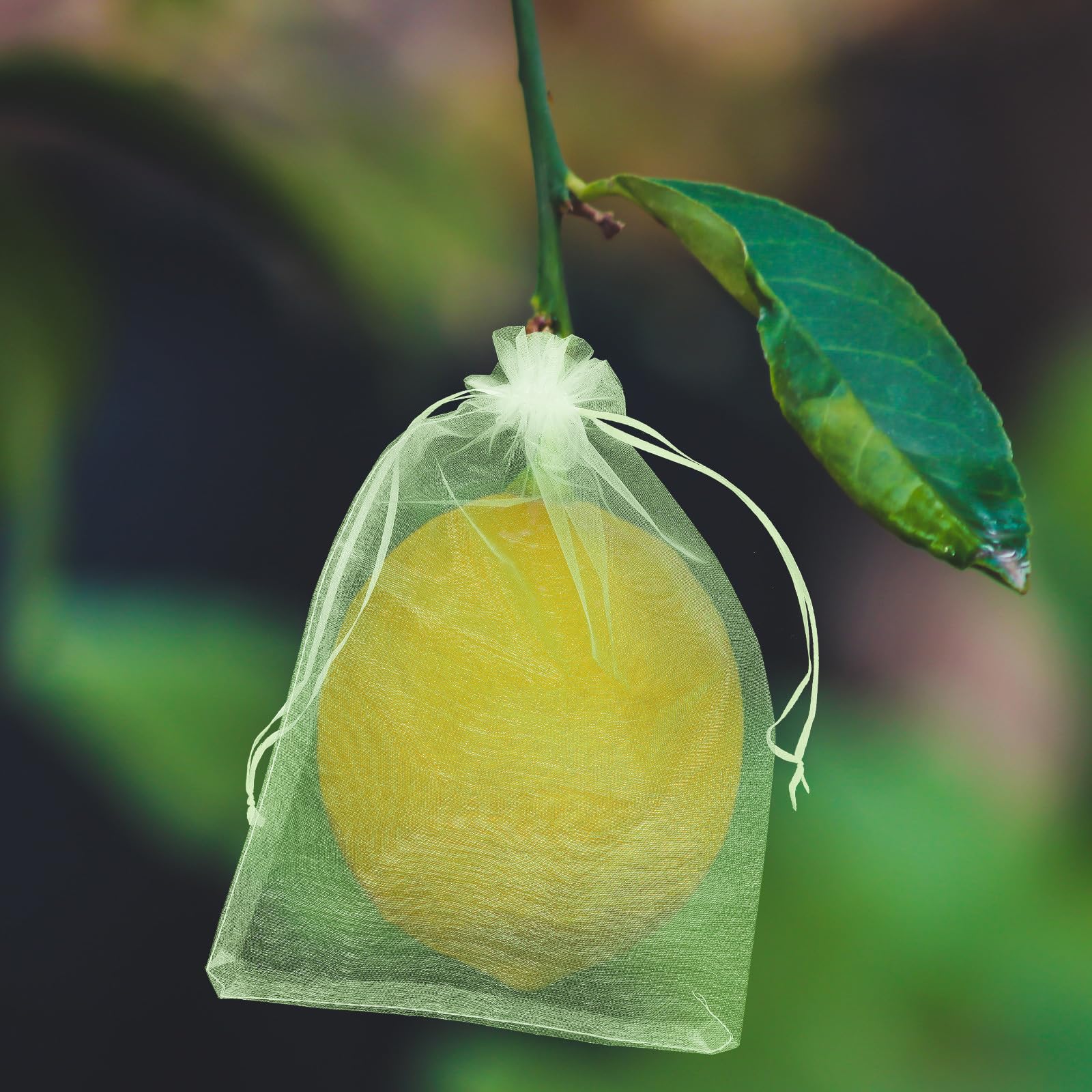 DECHOUS Bolsas Protectoras para Frutas y Verduras 100 Unidades 10x15 Cm Malla Verde Resistente para Cultivo Jardín Protección contra Aves E Insectos Saco Guardería para Uvas y Plantas
