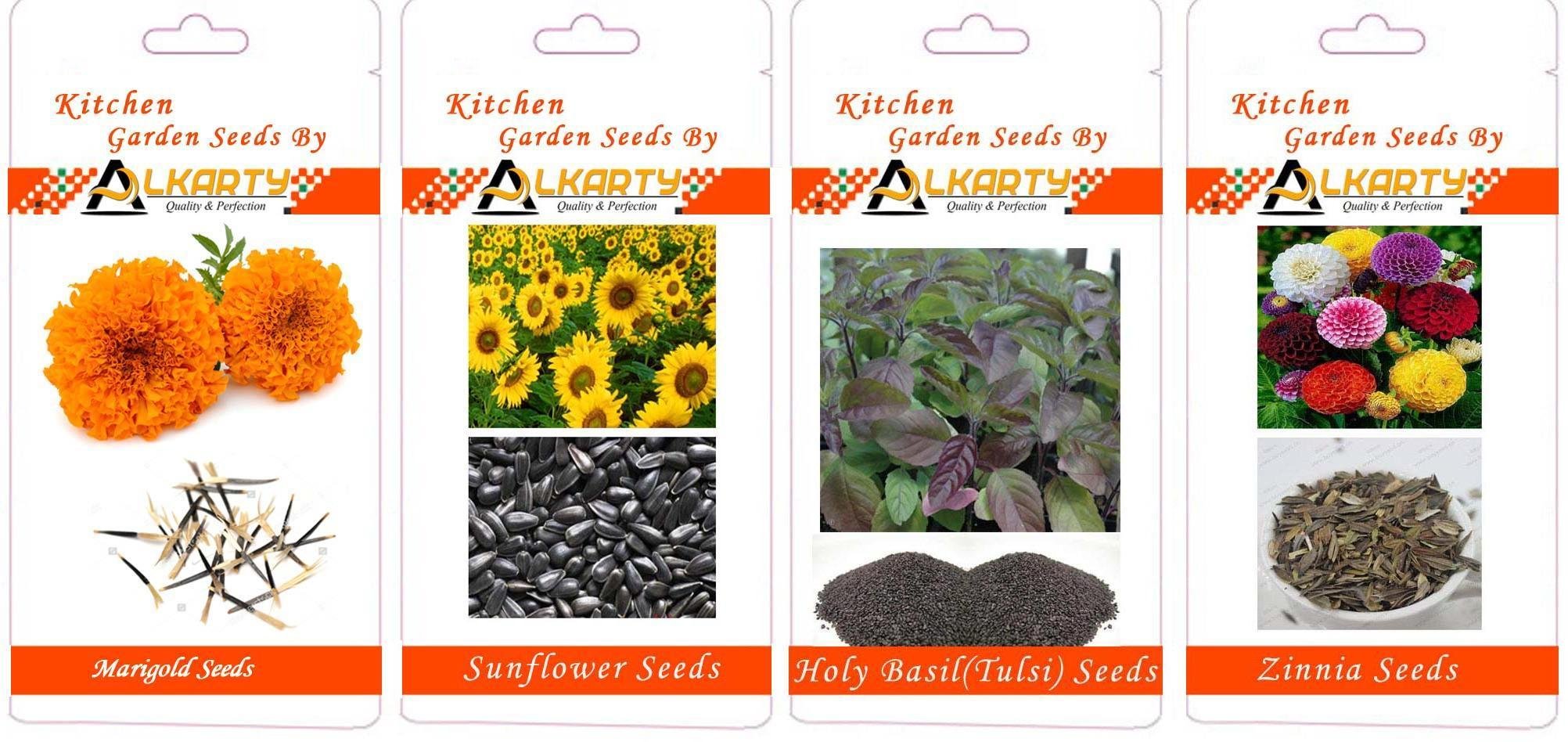 Marigold, Sunflower, Tulsi, Zinnia Summer Flower Seeds Pack of 20 Each-image-47