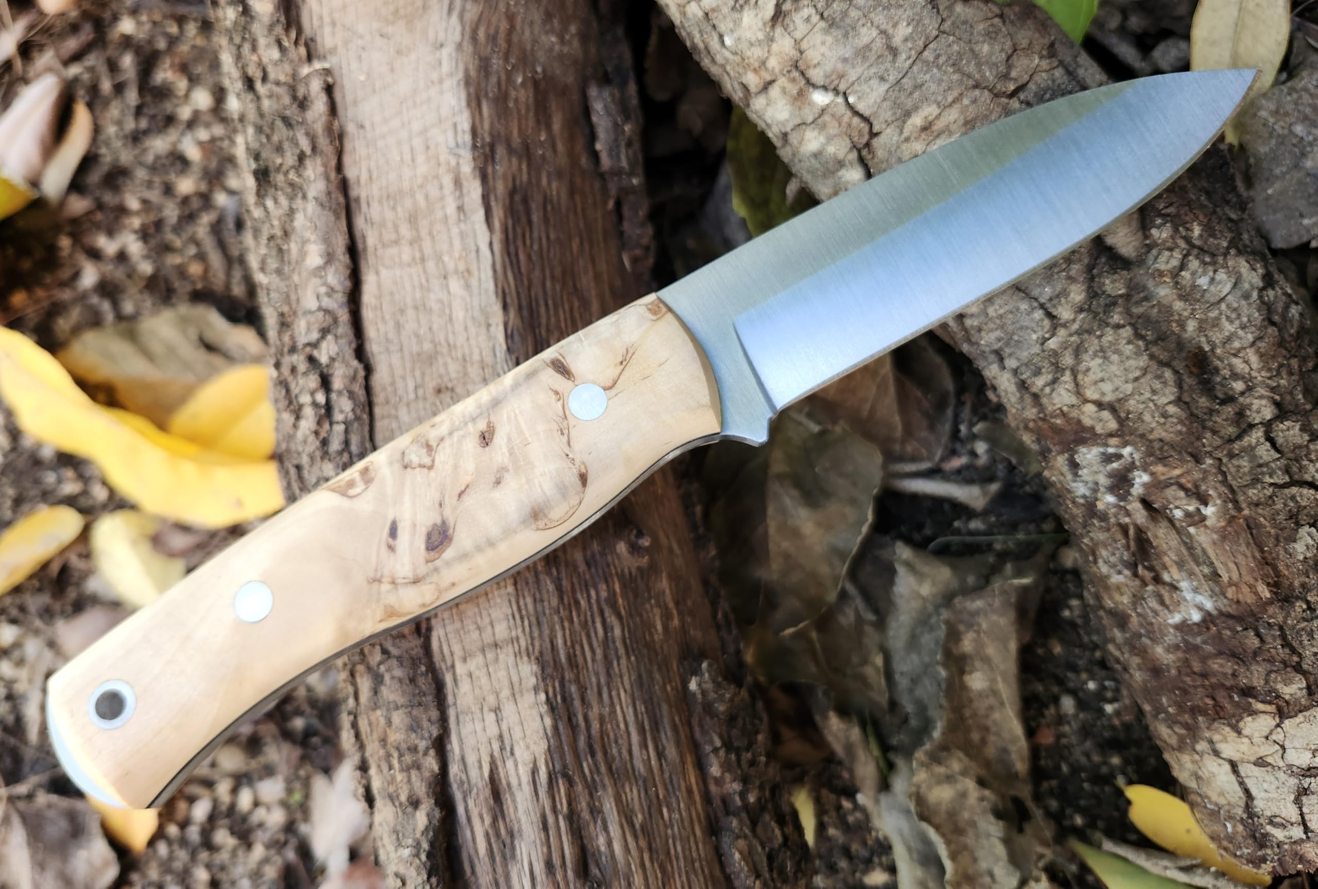 Coltello Da Sopravvivenza J&V WOLF - Lama Fissa 14.5 Cm, Acciaio Inox, Full Tang, Handmade In Spagna