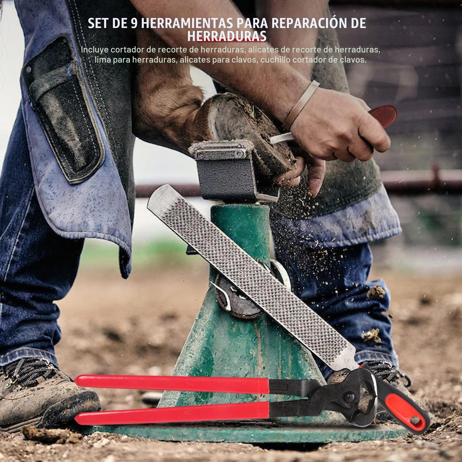 Herramienta de herrador de Caballos, 9 Piezas de Acero, Hierro, Herradura, Cortador de alicates, escofina para pezuñas de Caballo con Mango ergonómico, Martillo, Herramienta para pezuñas