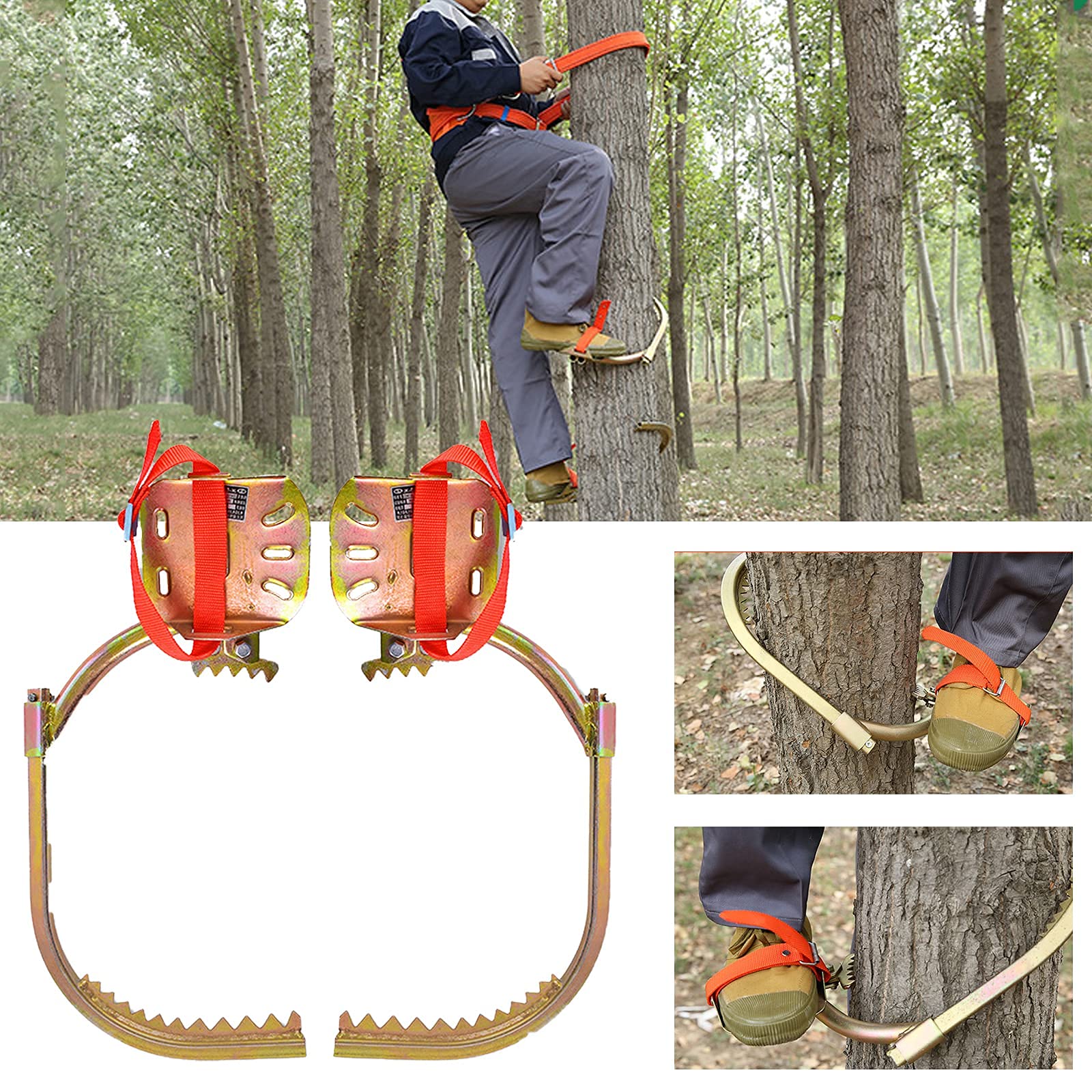 Crampones de escalada de árboles con cinturón de seguridad,Escalada Árboles Artefacto Equipo de Escalada Set para la Selva Supervivencia/Recogida de Frutas/Caza,Electricista Zapatos de Hierro