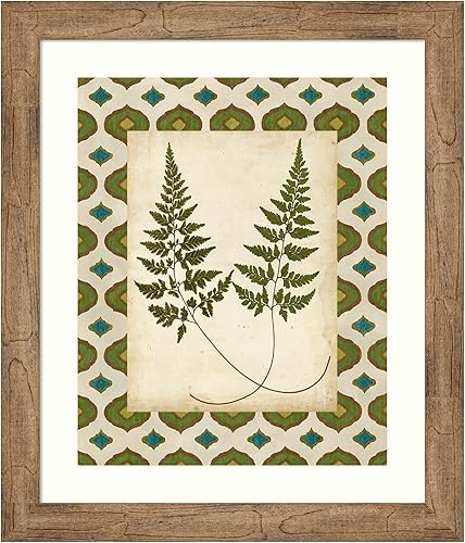 Amanti Art Framed Wall Art Print 28x24 Moroccan Ferns I by Vision Studio, Nature Wall Art, Vintage Decor, Medium Poster Painting Artwork for Living