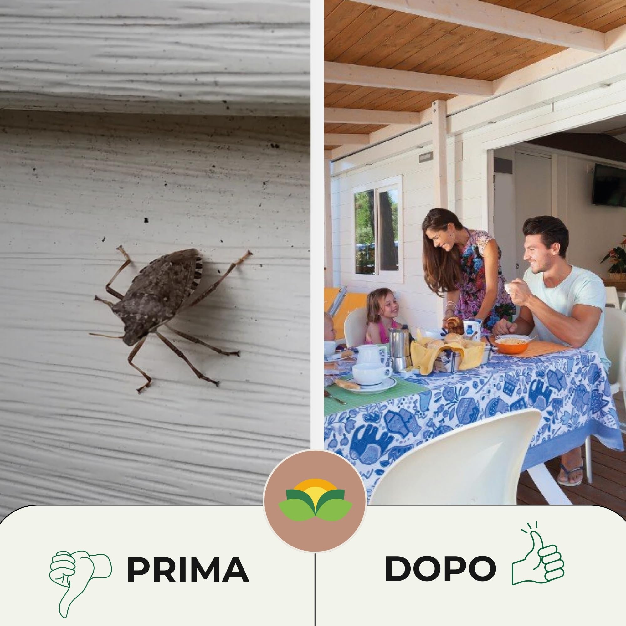 Albagarden - Insetticida Cimici - Rapida Azione - Spray Repellente Cimici - Veleno Per Insetti e Scarafaggi - Per Giardino E Casa - 3 Litri