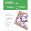 Product Photo 4