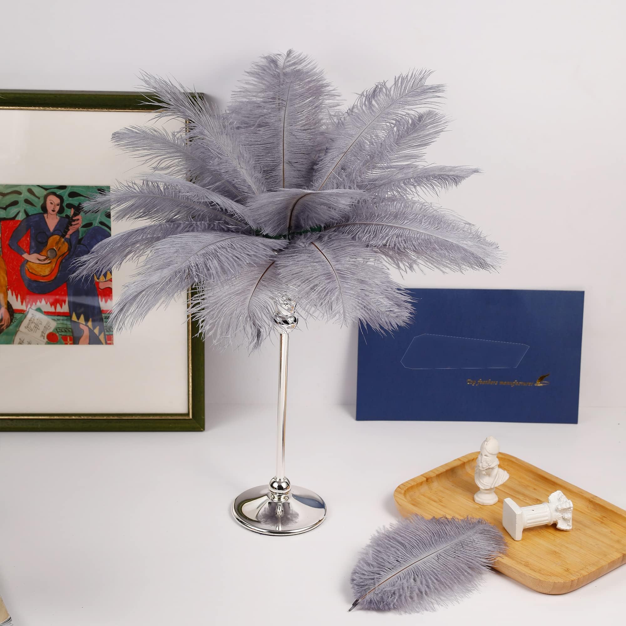 KASTWAVE Natural White Ostrich Feathers 10 pcs 30-35 cm for Wedding Party Centerpieces Flower packaging Home Decorations (grey)