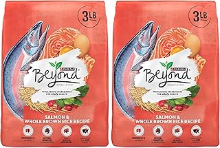 Beyond Cat Food: Salmon & Brown Rice
