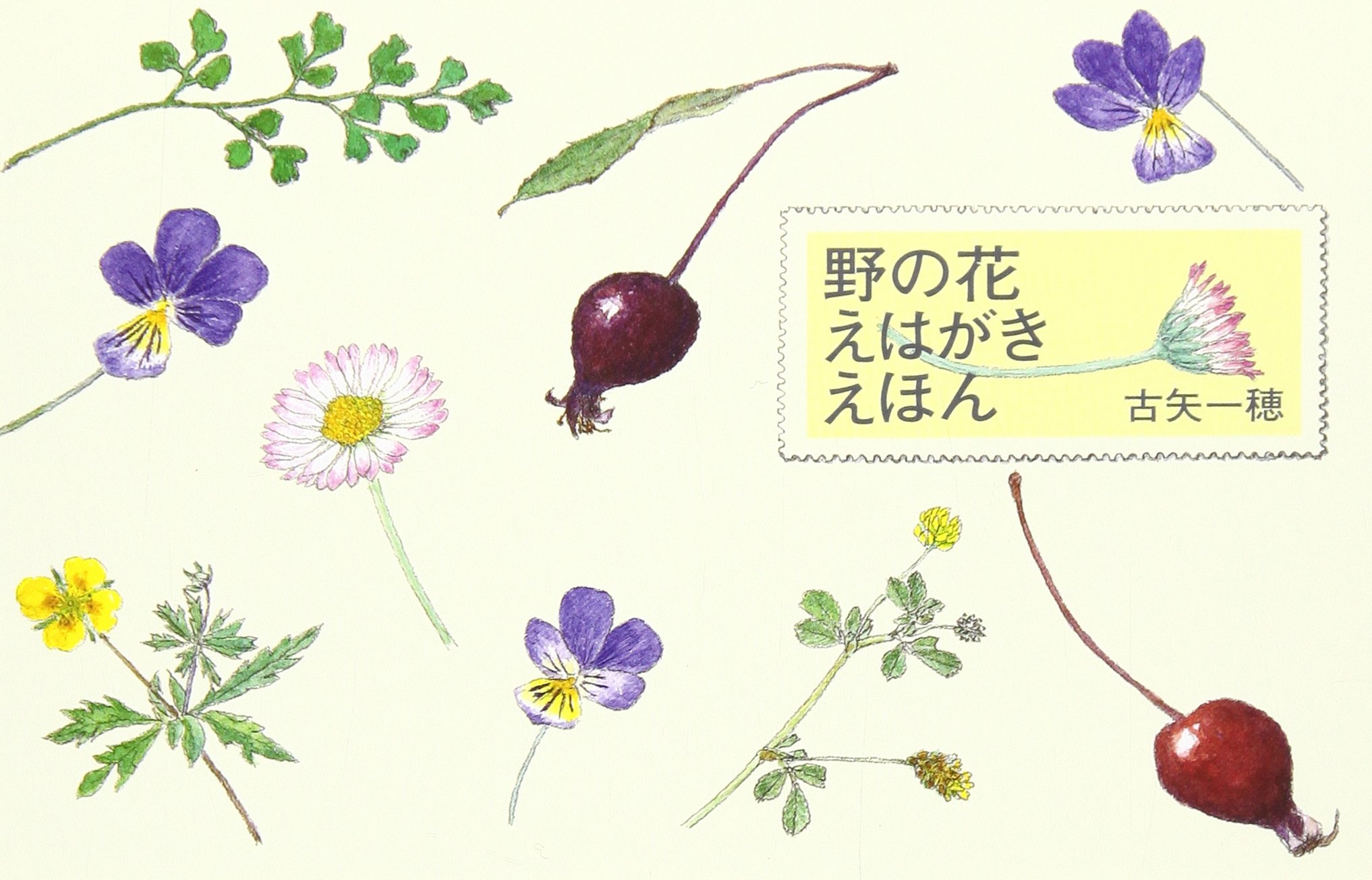 野の花えはがきえほん 一穂 古矢 野の花えはがきえほん 一穂 古矢