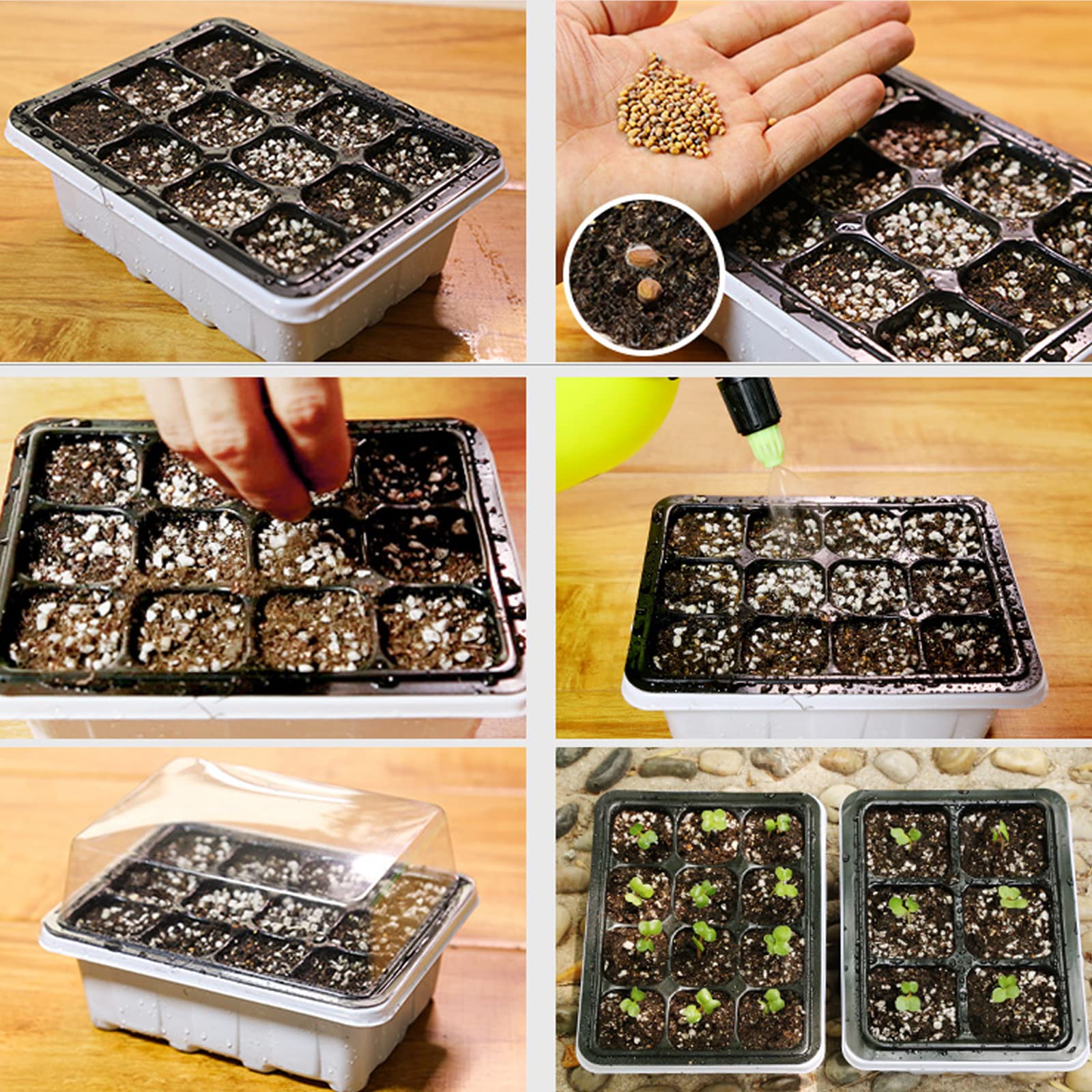 10 Pièces Bac à semis, Mini Serre pour Plantes Intérieure avec couvercles rehaussés, 12 Cellules Intérieure Plateau Semis Pépinière Boîte de Culture pour Jardin