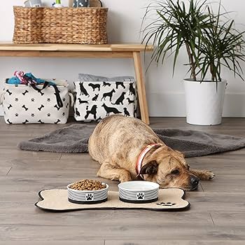 Pet Supplies : Bone Dry Ceramic Stripe Paw Pet Bowls
