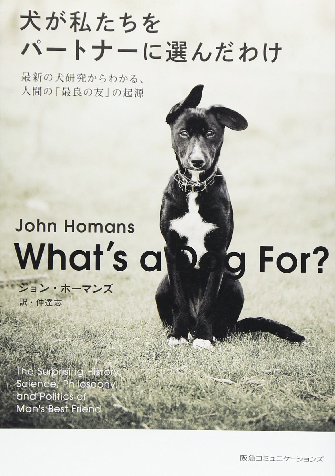 私の愛する犬たち 私の愛する犬たち (レッスンシリーズ) | ささき のん |本 | 通販