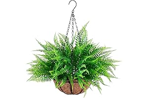 Artificial Hanging Fern: Lifelike Beauty for Outdoor Spaces