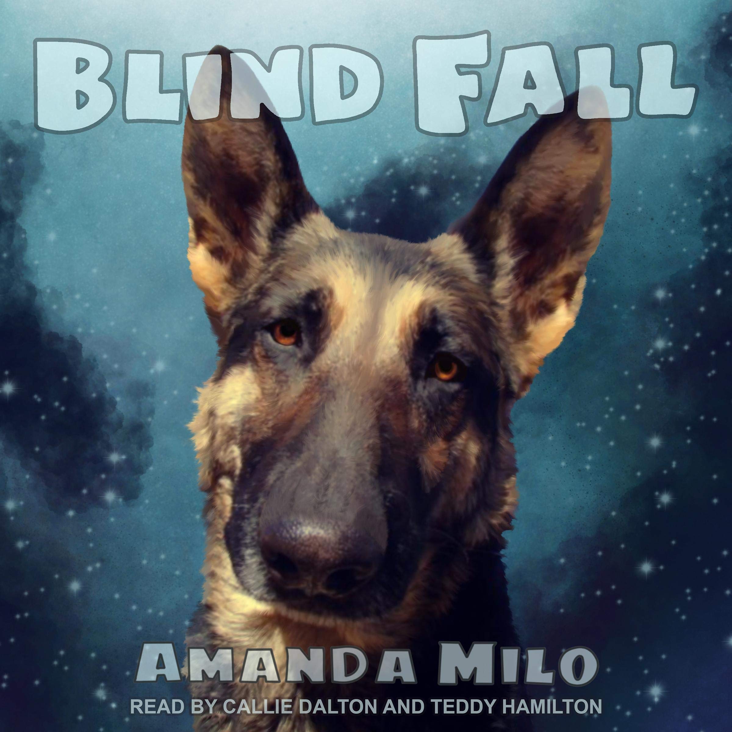 Cover art for Blind Fall