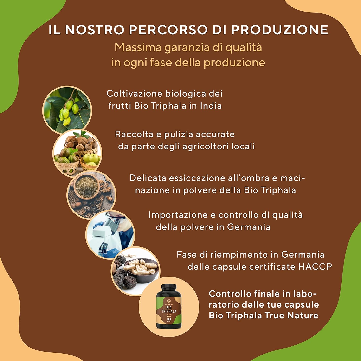 Triphala Bio - 360 Capsules - 2000 mg Daily Dose (High 5 81 DLzj2gAL. AC SL1500 -