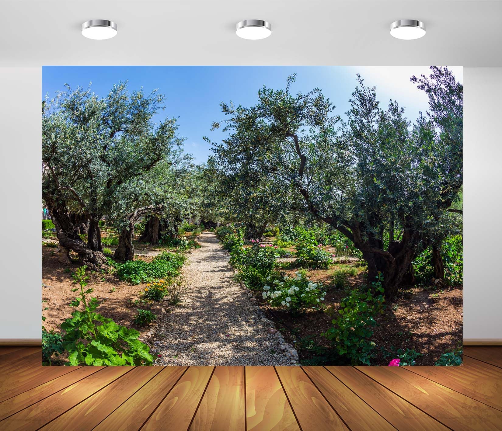 BELECO 6x3m Telo sfondo giardino di Getsemani | Paesaggio Gerusalemme ulivi antichi sfondo decorazione festa biblica banner accessori fotografia Israele