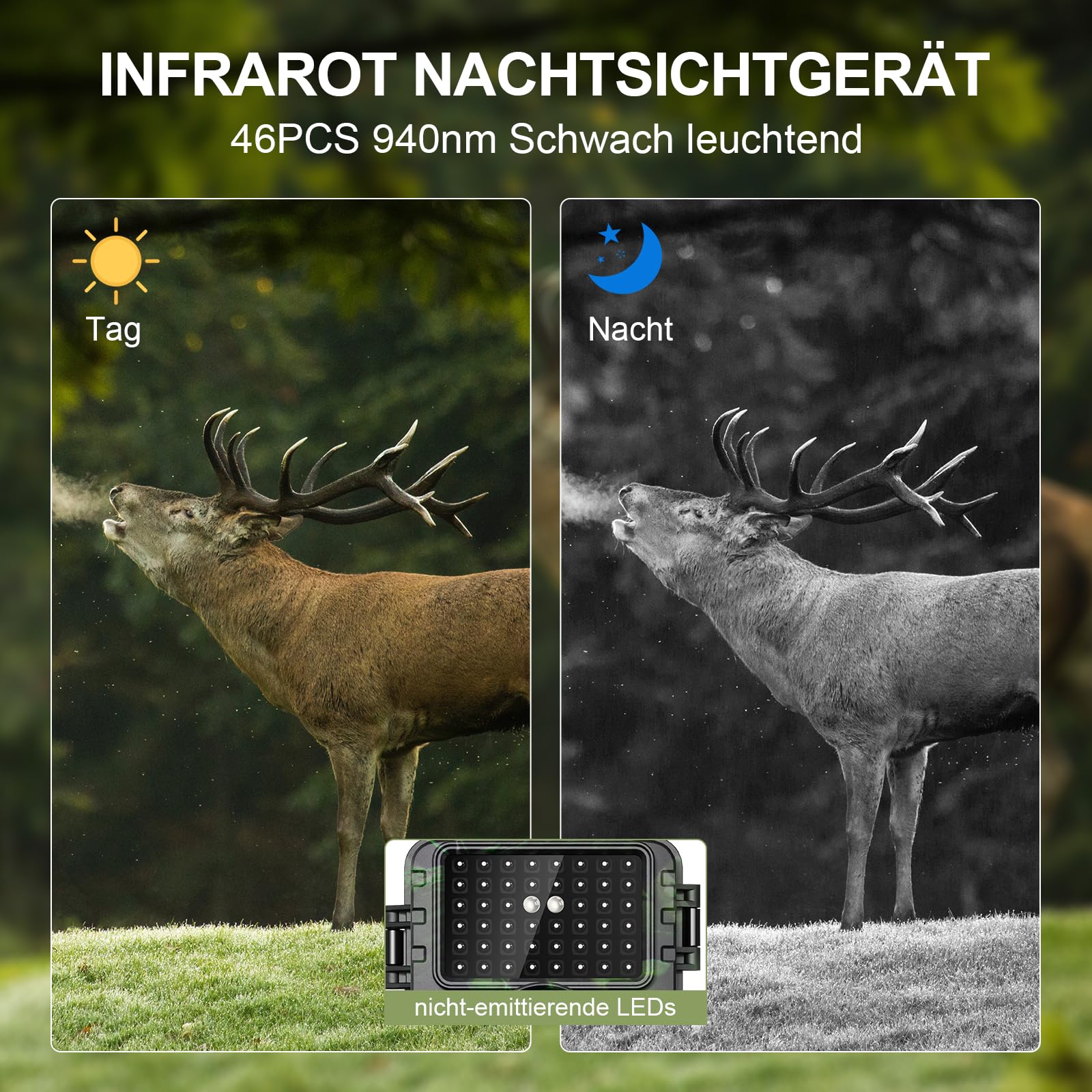 Lutranstra Wildkamera 4K 60MP WLAN mit Handyübertragung APP