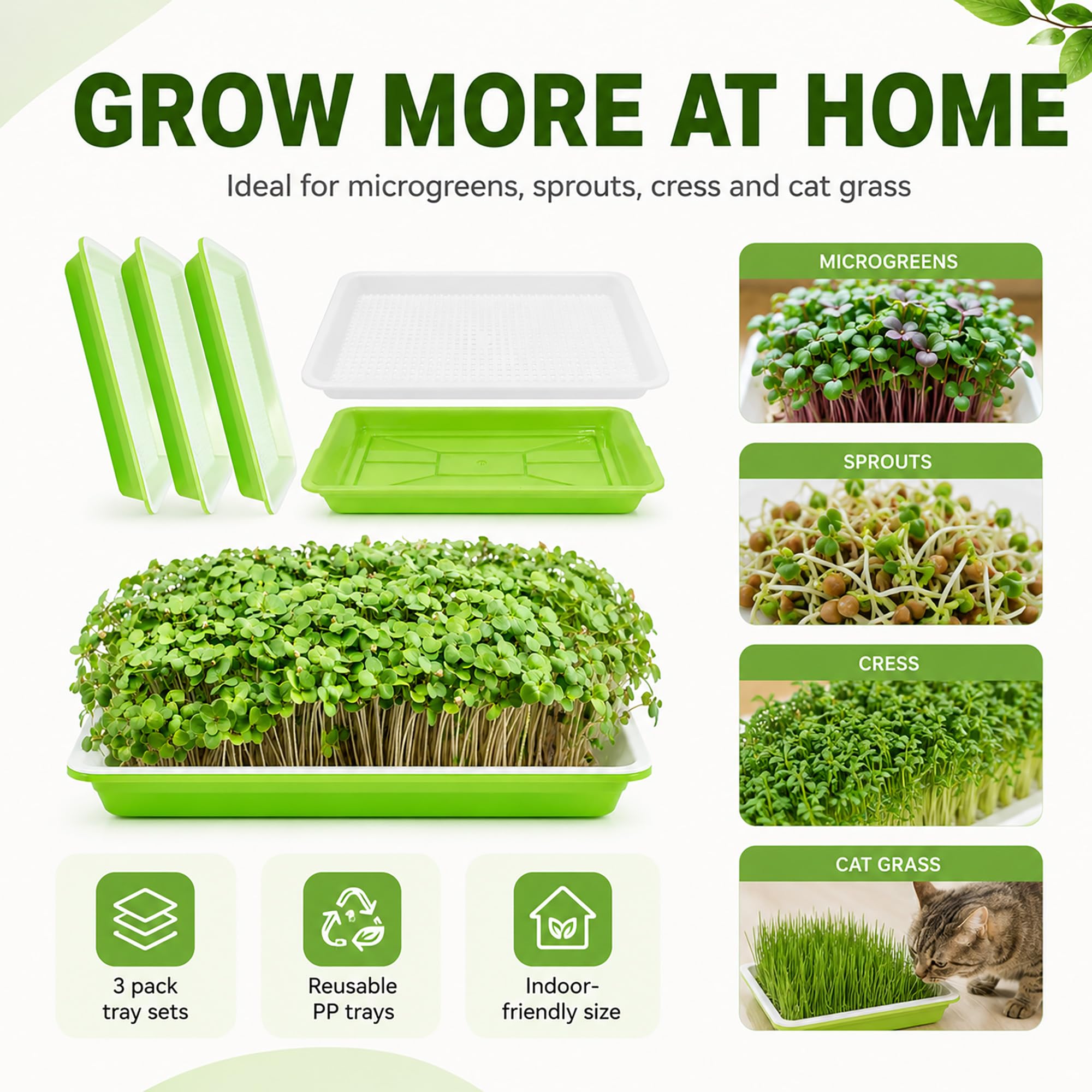 View 4