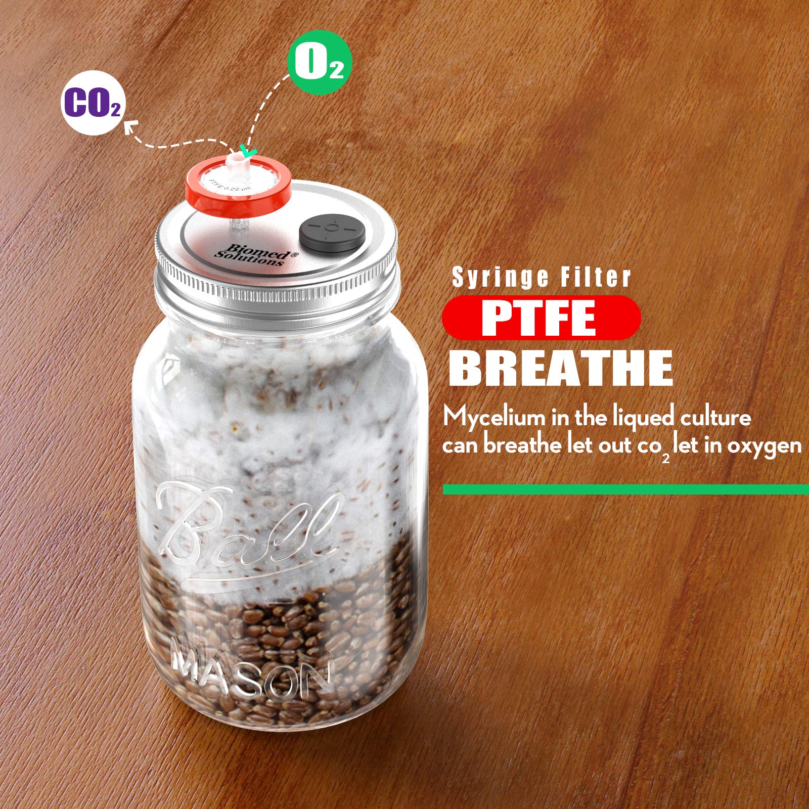 Buy 6Pcs Regular Mouth Mushroom Liquid Culture Lid Grain Spawn