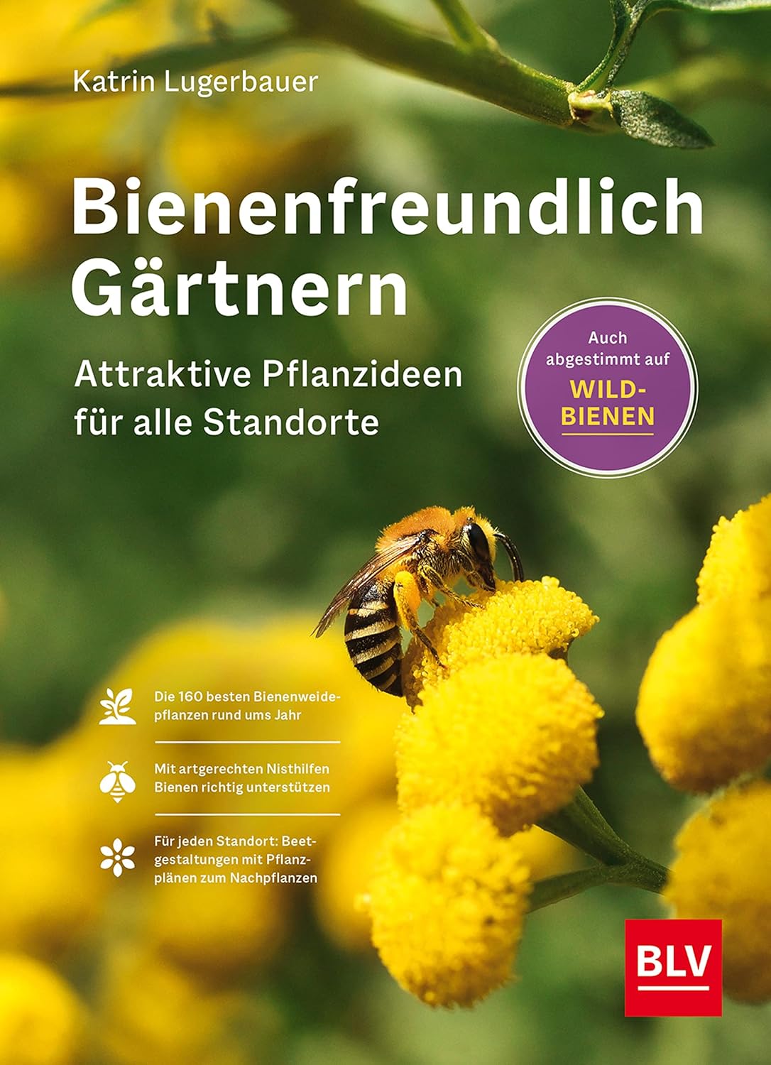 Bienenfreundlich Gärtnern Attraktive Pflanzideen für alle Standorte