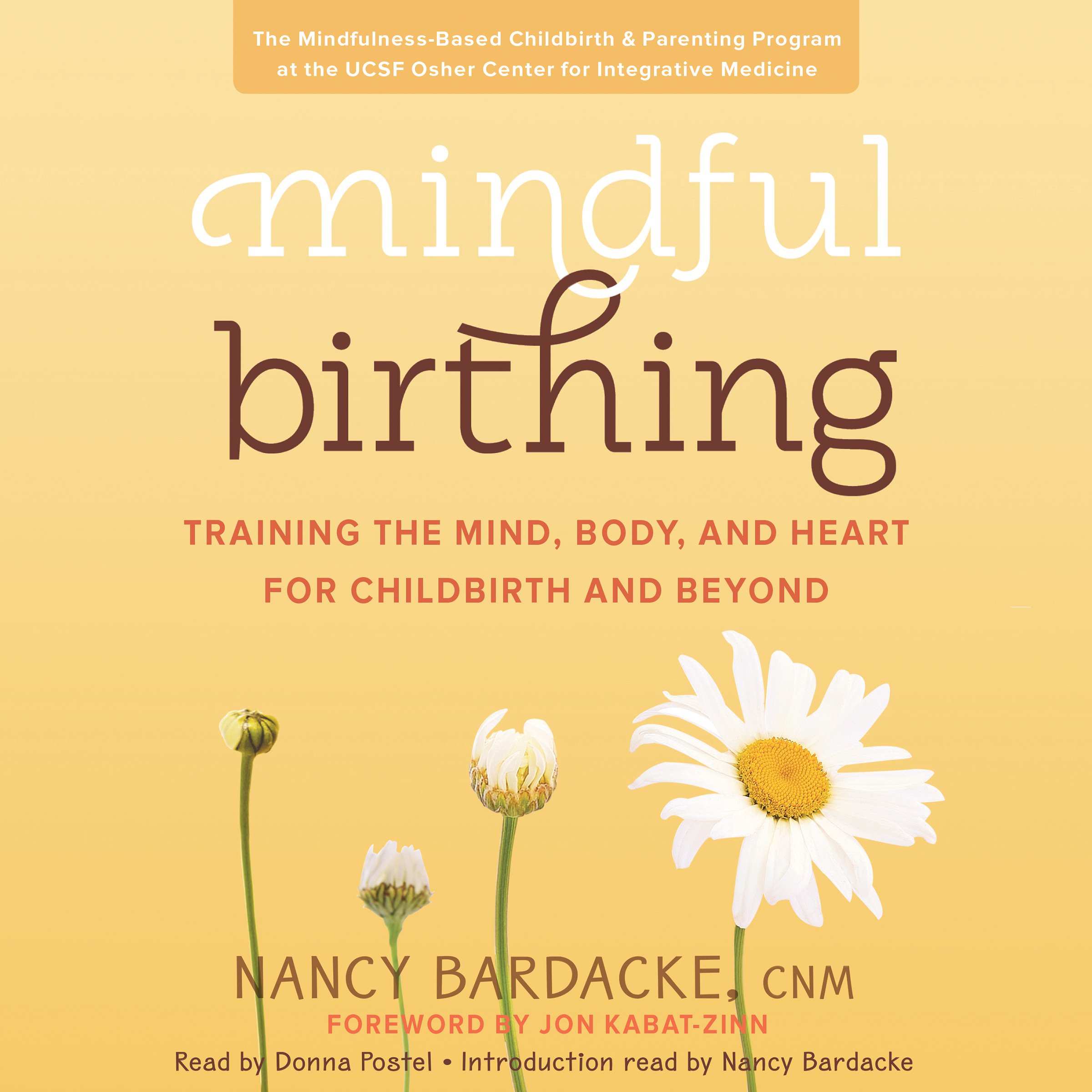 Cover art for Mindful Birthing