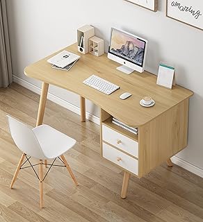 LEPTIS MAGNA Desk, Computer Desk for Student and Work, Computer Desk with Drawers and Shelf, Modern Computer Table, Stylish Home Office Desk for Bedrooms, Office, Gaming (120 cm)