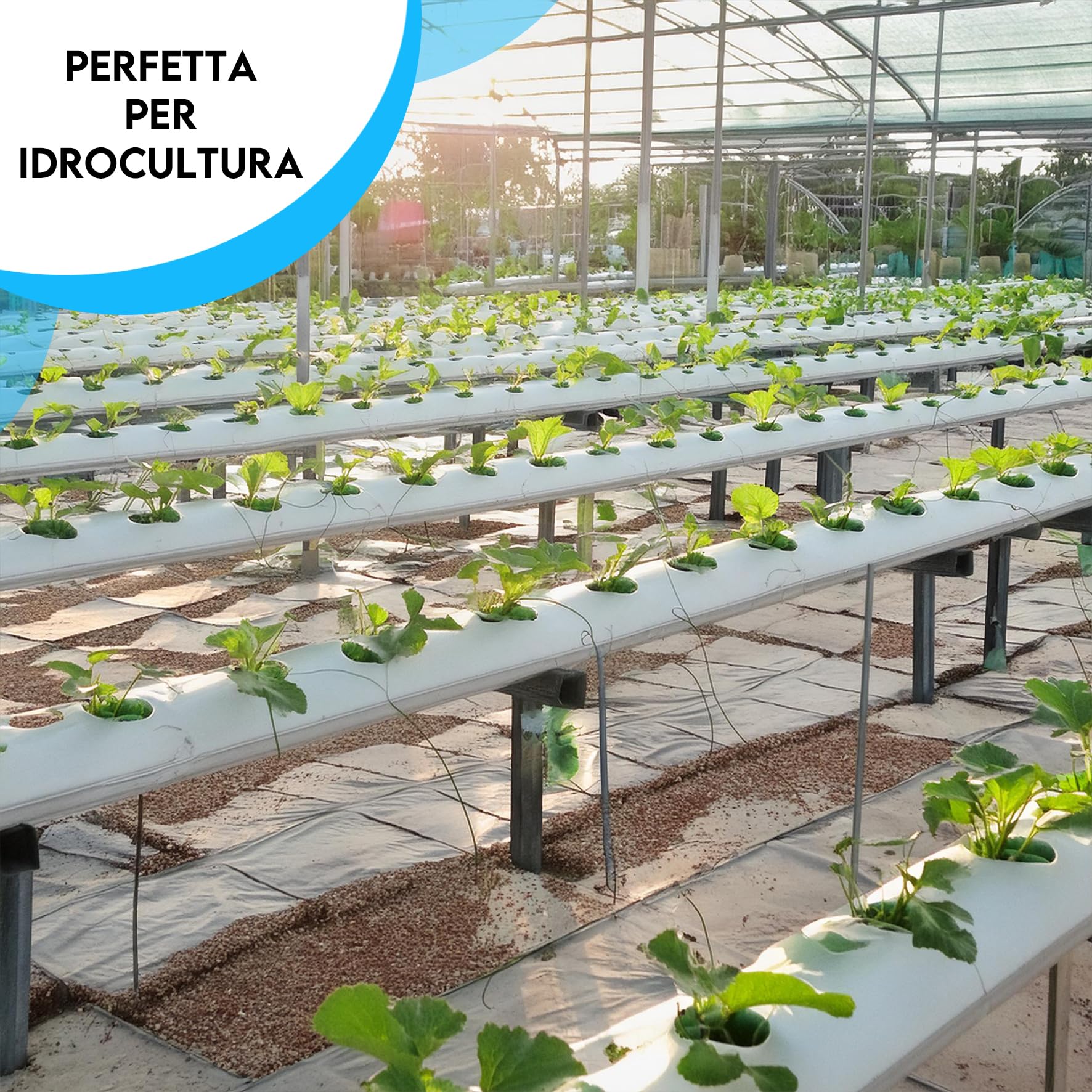 Fibra Di Cocco ZOMA 6L - Substrato Professionale Per Coltivazione Idroponica E Piante, 100% Naturale - Foto 4