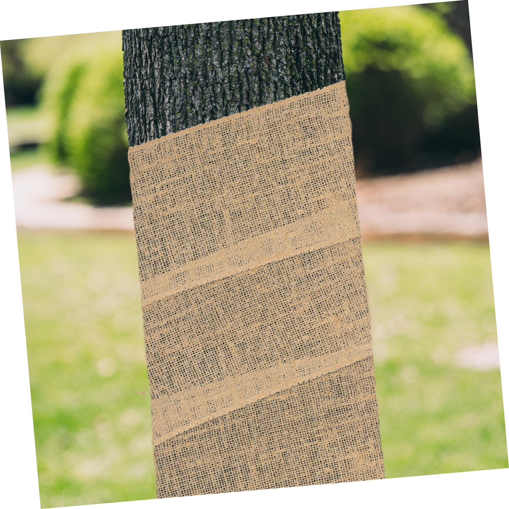 Fasce di Sicurezza per Alberi Antivento per Piante Pellicole Protettive per Alberi di Inverno Forniture e Accessori da Giardino