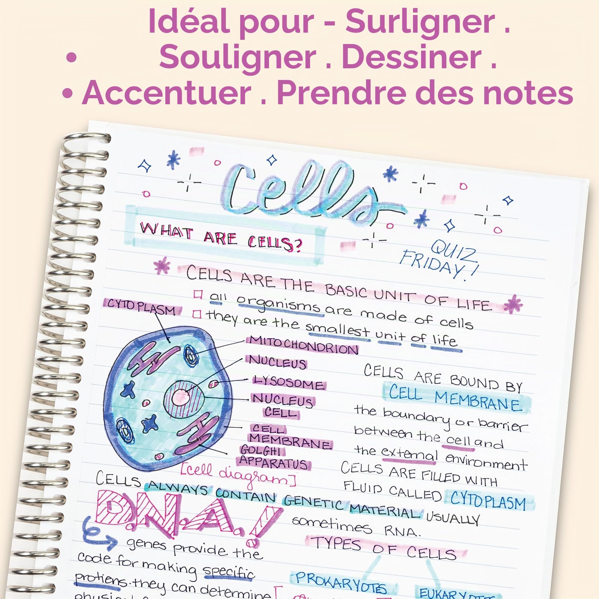 Zebra Pen Mildliner Ensemble de surligneurs à double pointe