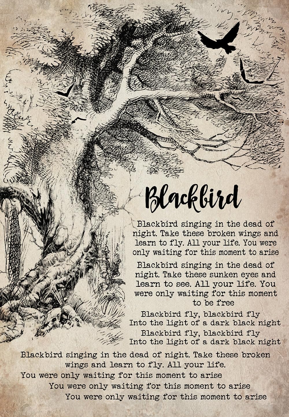 Yaasimoule Color Poster Blackbird Song Lyrics Portrait Hah207 Wall Art Home Decor Hah177