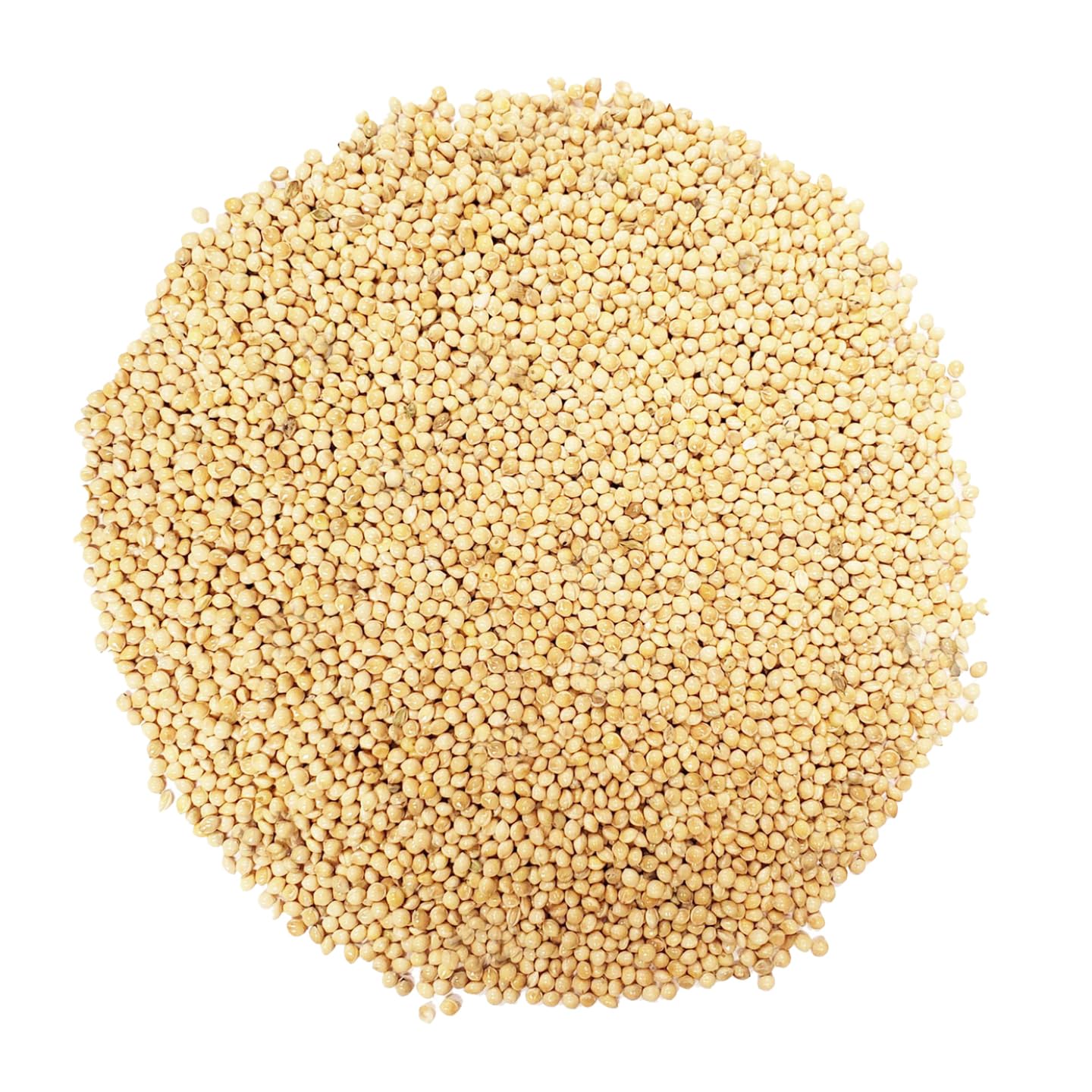 ☆millet☆ Amazon.com: Backyard Seeds White Millet Bird Seed for