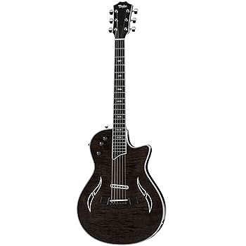Taylor 110-GB アコースティックギター Taylor 110-GB アコスティックギター