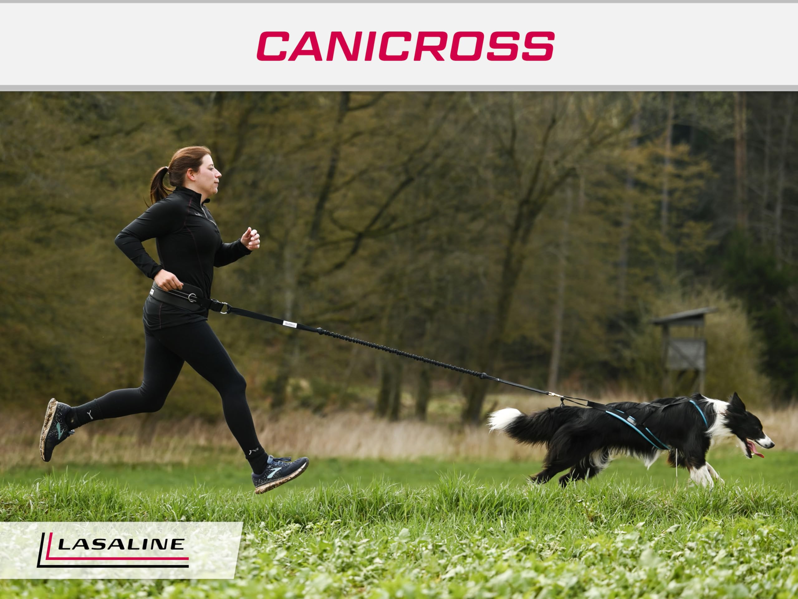 Imbracatura per cani da traino X-Back per bikejoring, Canicross, Scooter, Skijoring, Dog-Trekking, Sleddog - nero arancio neon